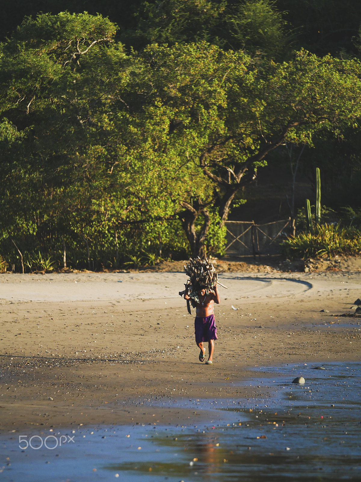 Panasonic Lumix DMC-GH4 + Canon EF 70-200mm F4L USM sample photo. El transito, nicaragua photography