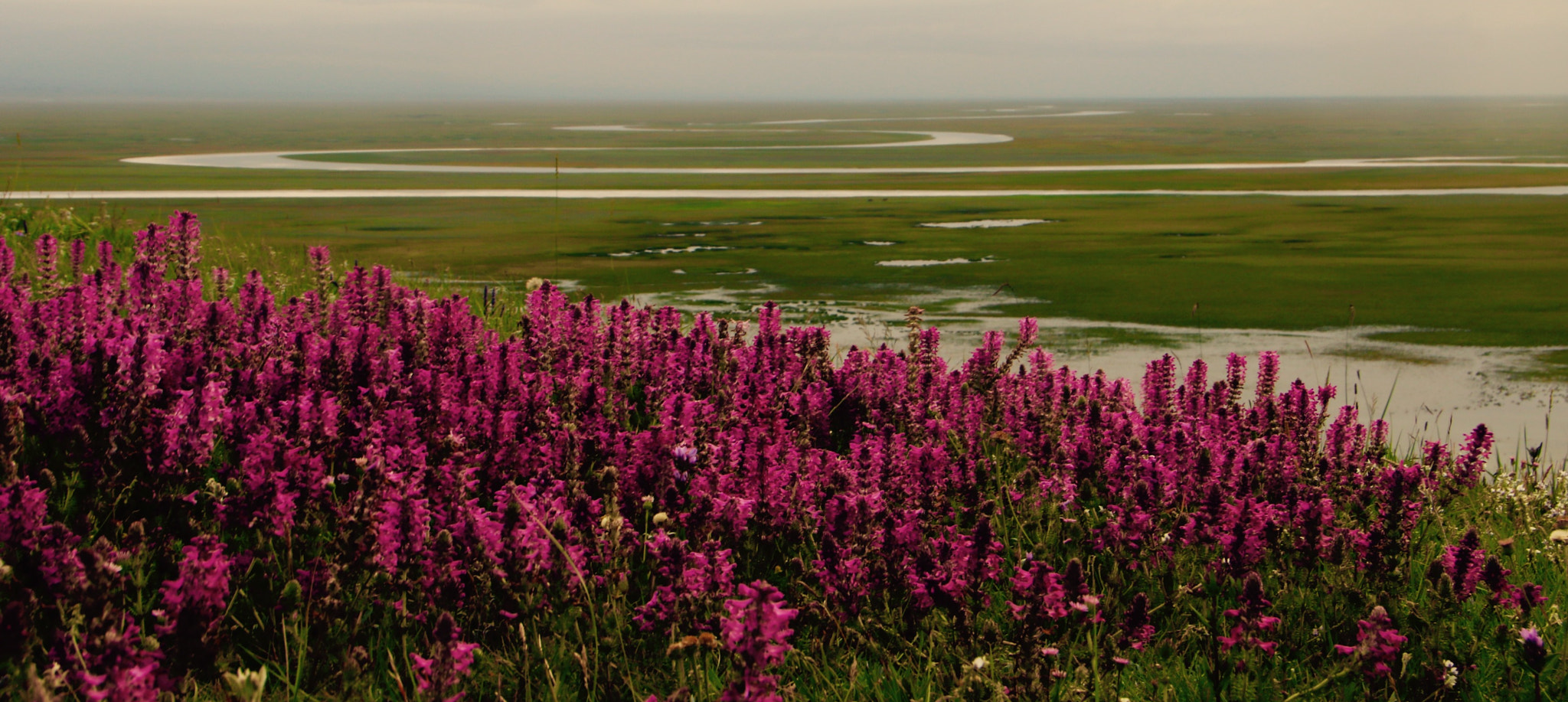 Canon 18-250mm sample photo. Landscape photography