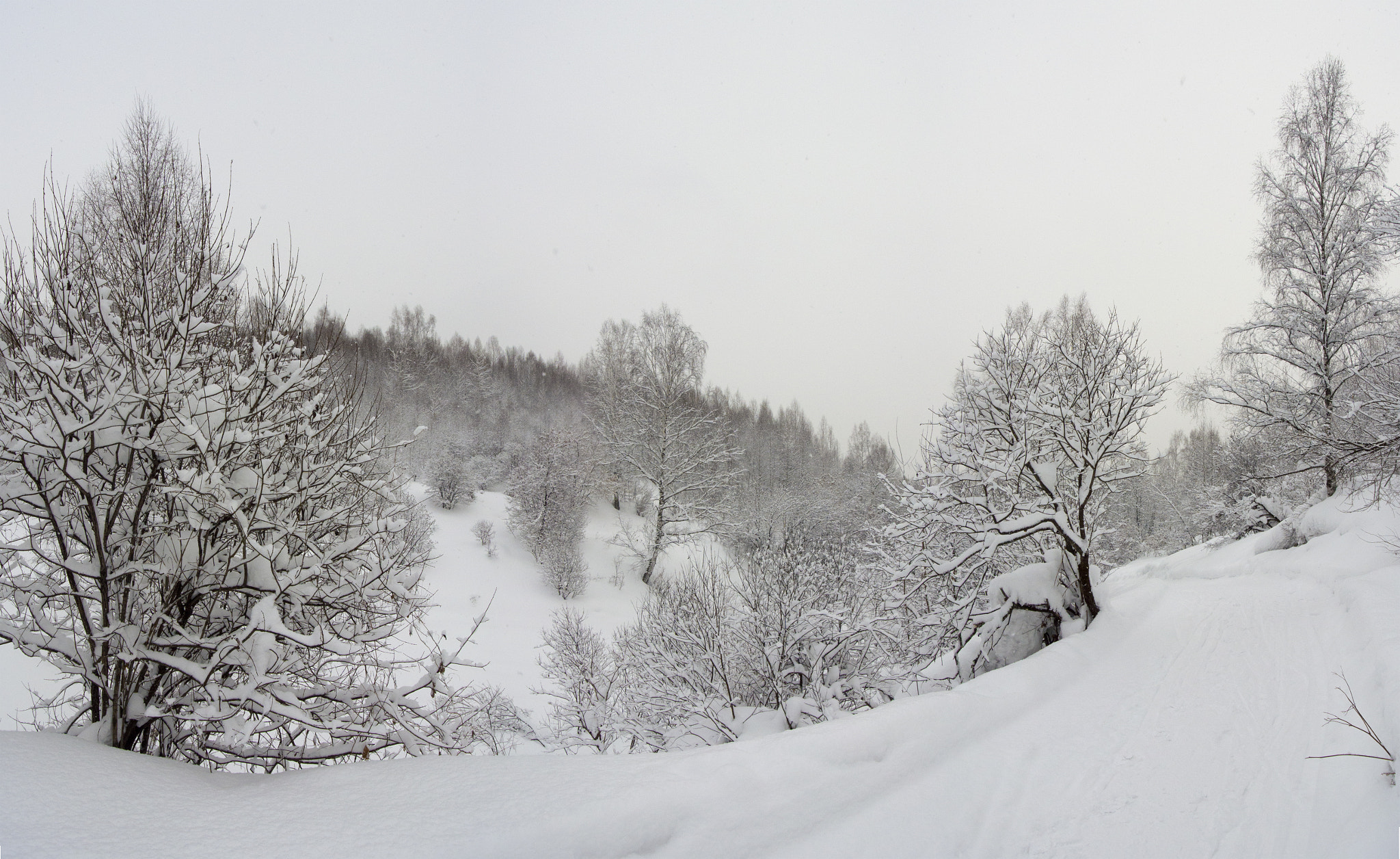 Nikon 1 Nikkor VR 10-30mm F3.5-5.6 sample photo. В логу. photography