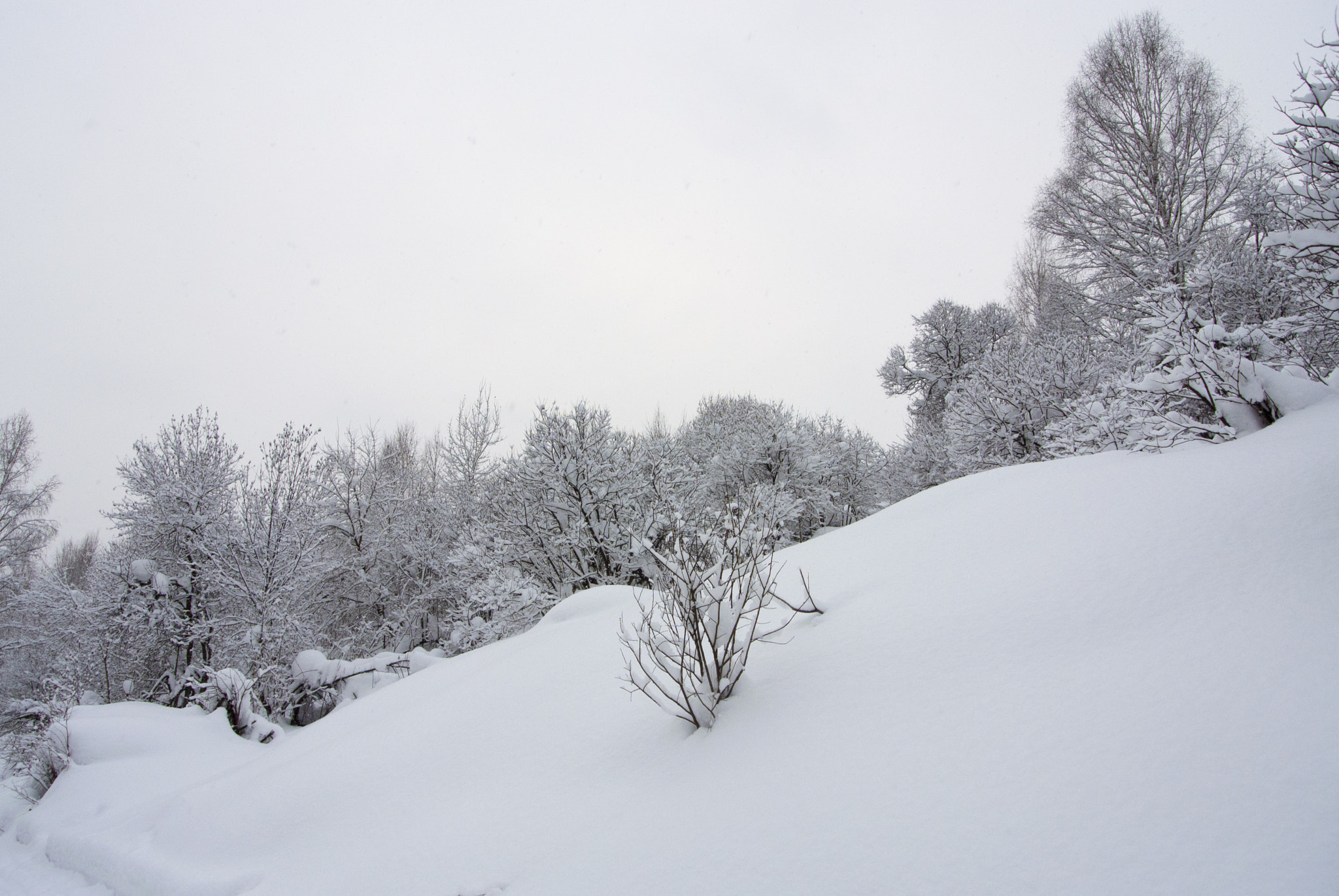 Nikon 1 Nikkor VR 10-30mm F3.5-5.6 sample photo. В логу photography