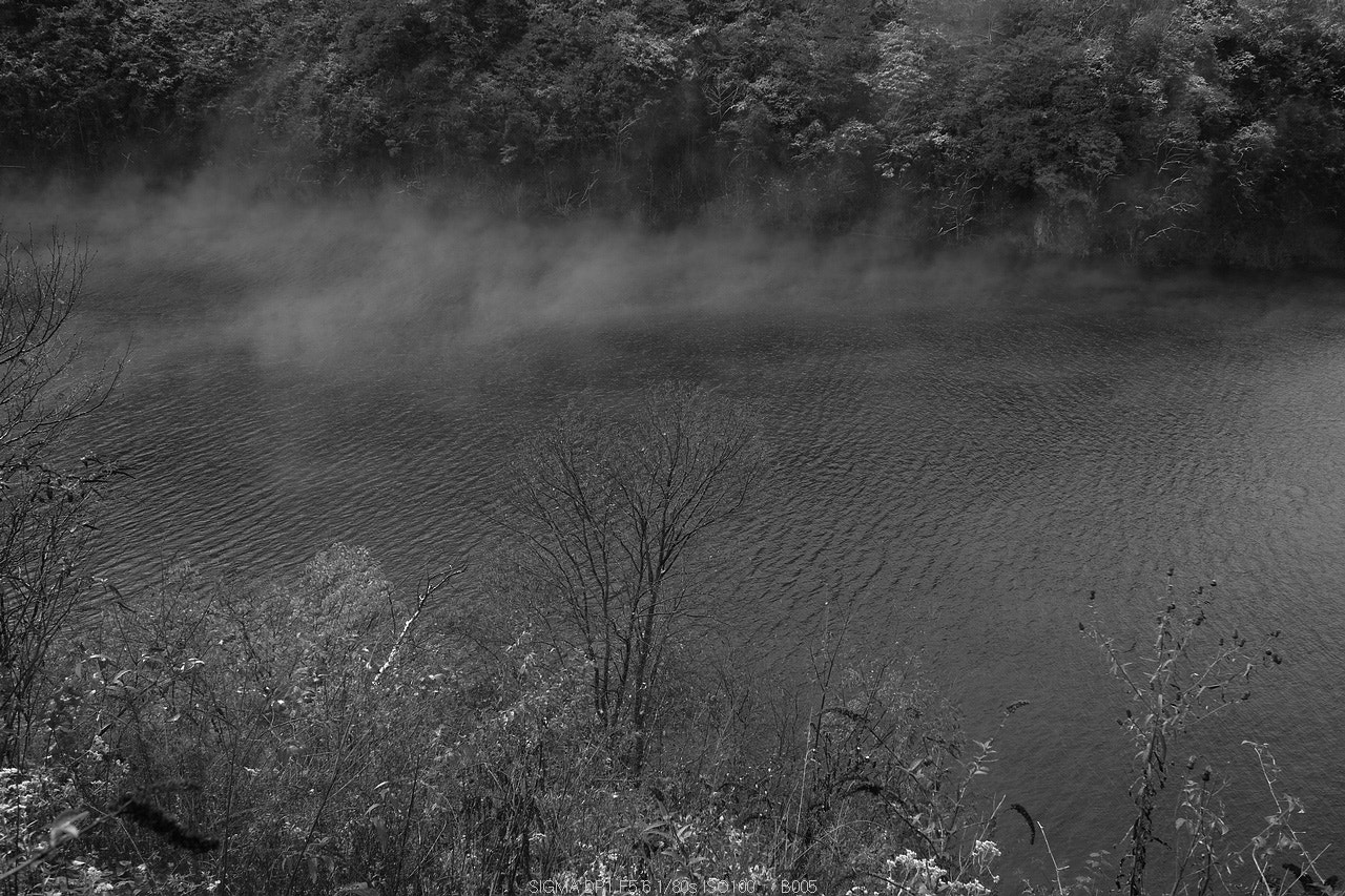 Sigma DP1 sample photo. 【autumn】 photography