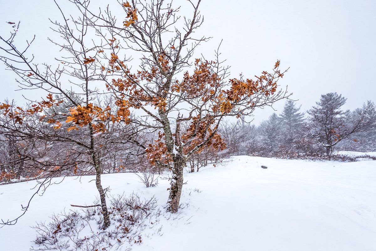 Nikon AF-S Nikkor 17-35mm F2.8D ED-IF sample photo. Windy summit photography