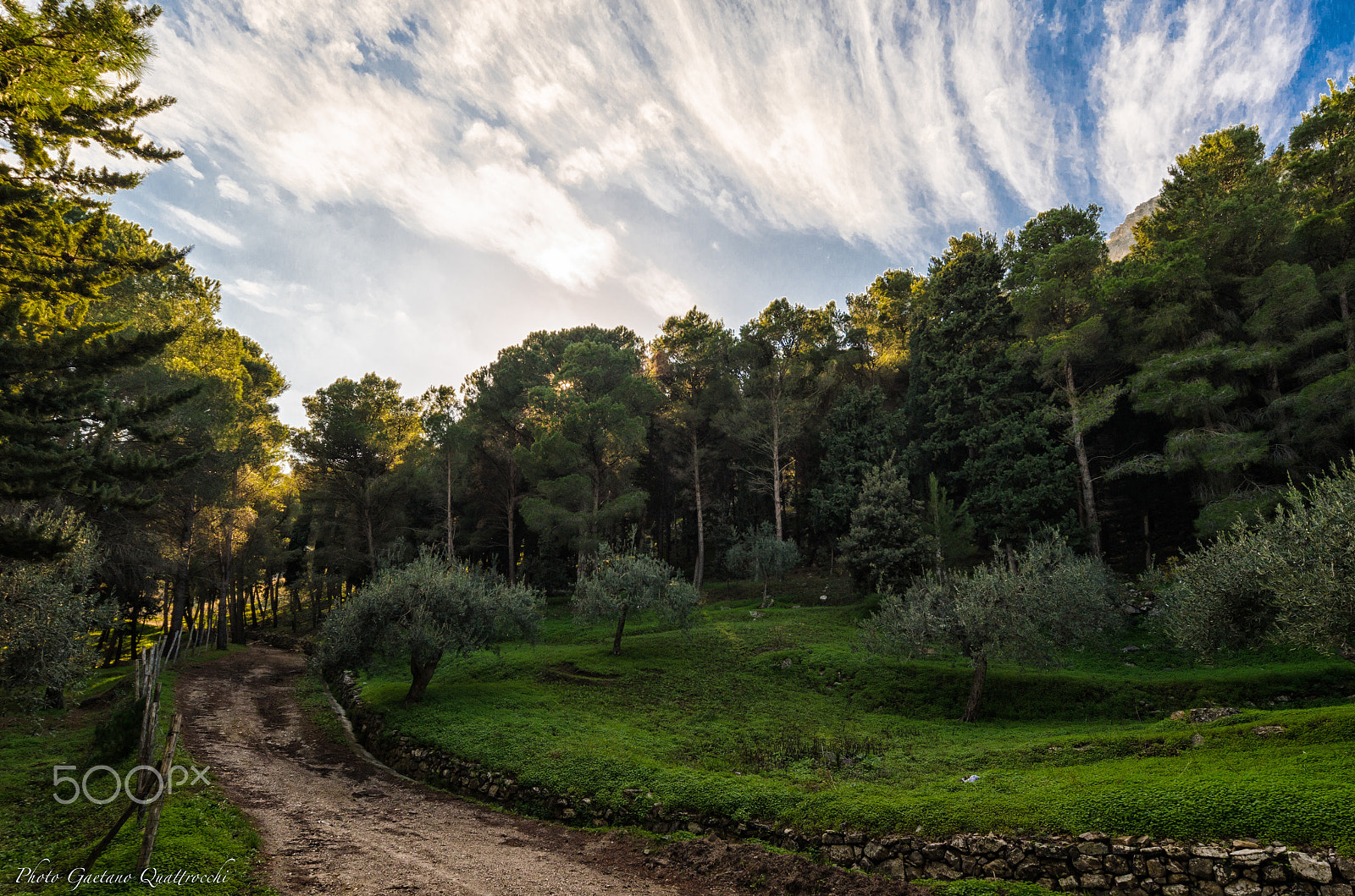 Sigma 12-24mm F4.5-5.6 EX DG Aspherical HSM sample photo. Todisca boschetto photography