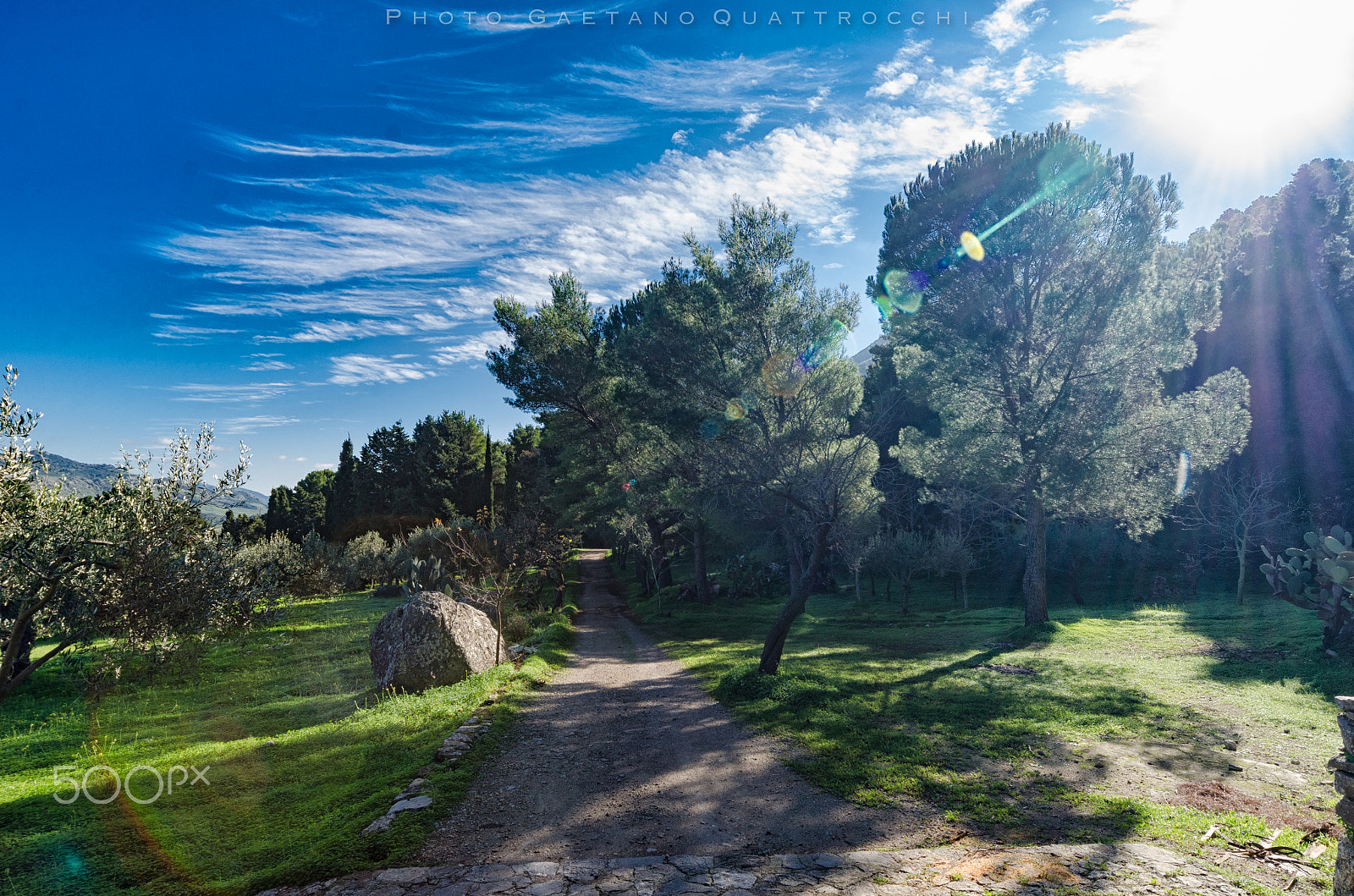 Sigma 12-24mm F4.5-5.6 EX DG Aspherical HSM sample photo. Todisca surrealistic reflection photography