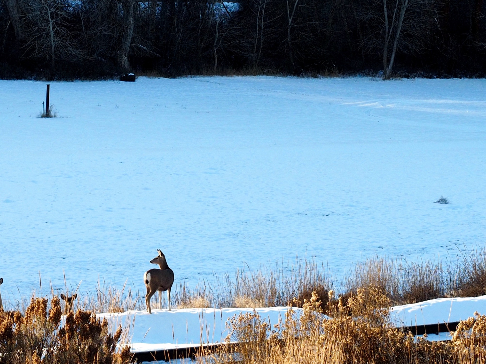 Olympus OM-D E-M5 II sample photo. Quiet morning photography