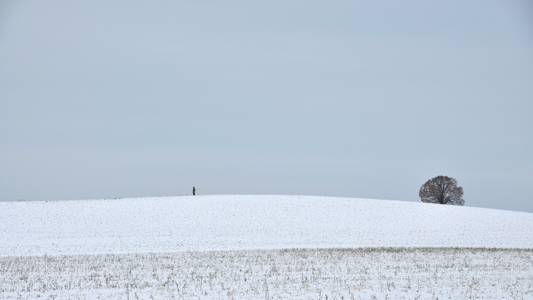 Nikon D90 sample photo. Lonely walker ... photography