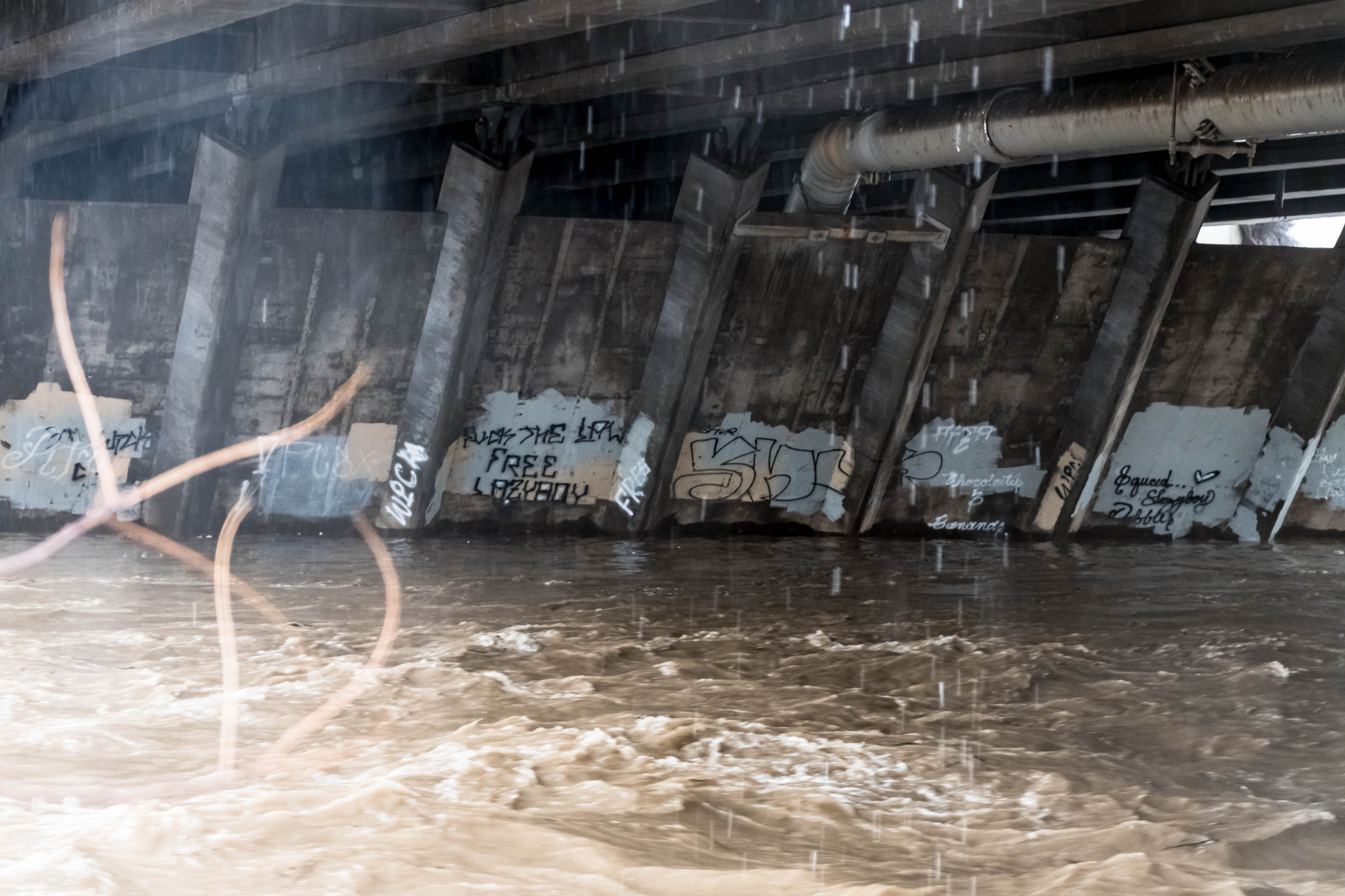 Nikon D500 sample photo. Graffiti under the gregg st. bridge photography