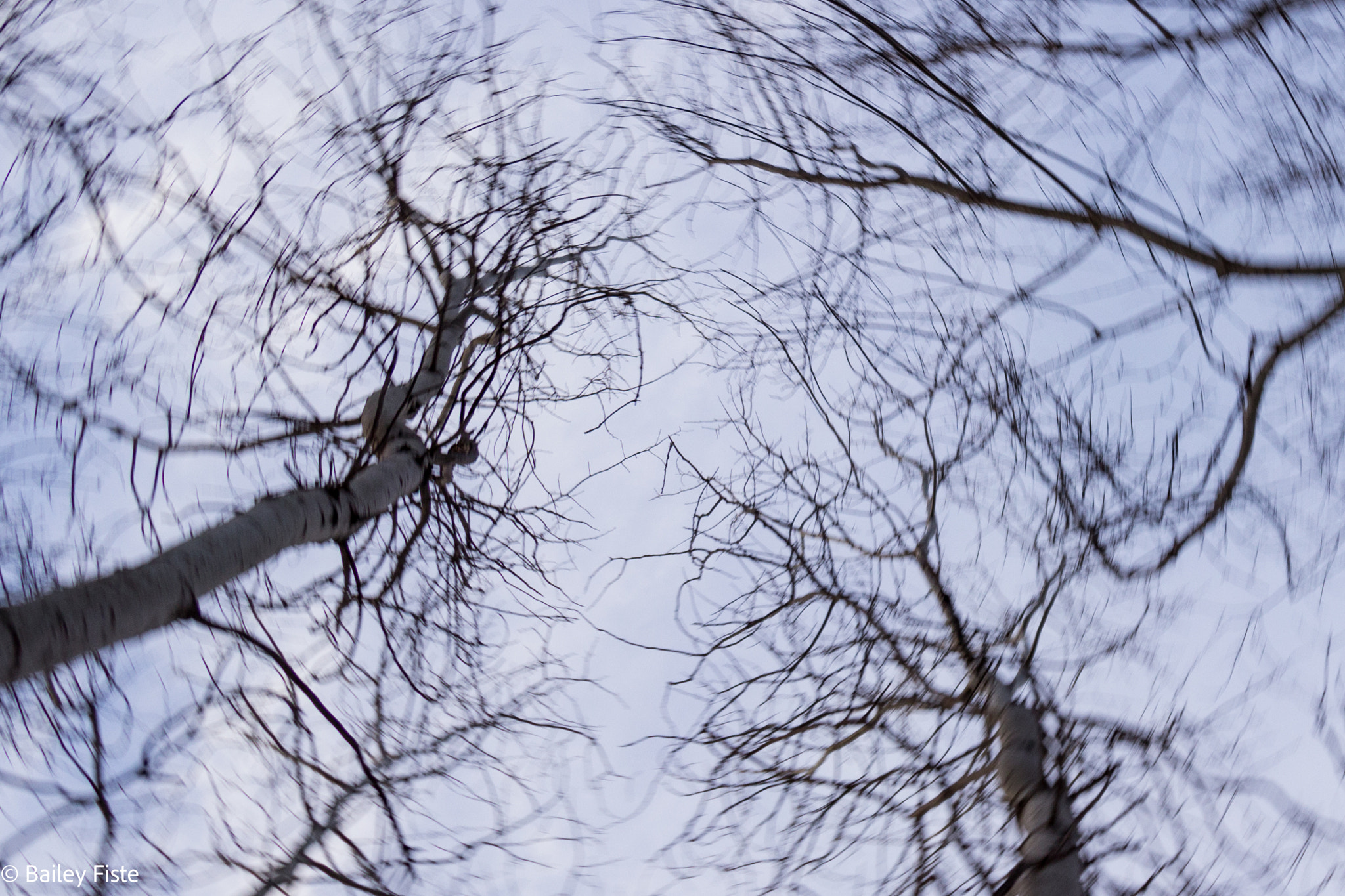 Canon EOS 600D (Rebel EOS T3i / EOS Kiss X5) sample photo. Would you come and spin with me? photography