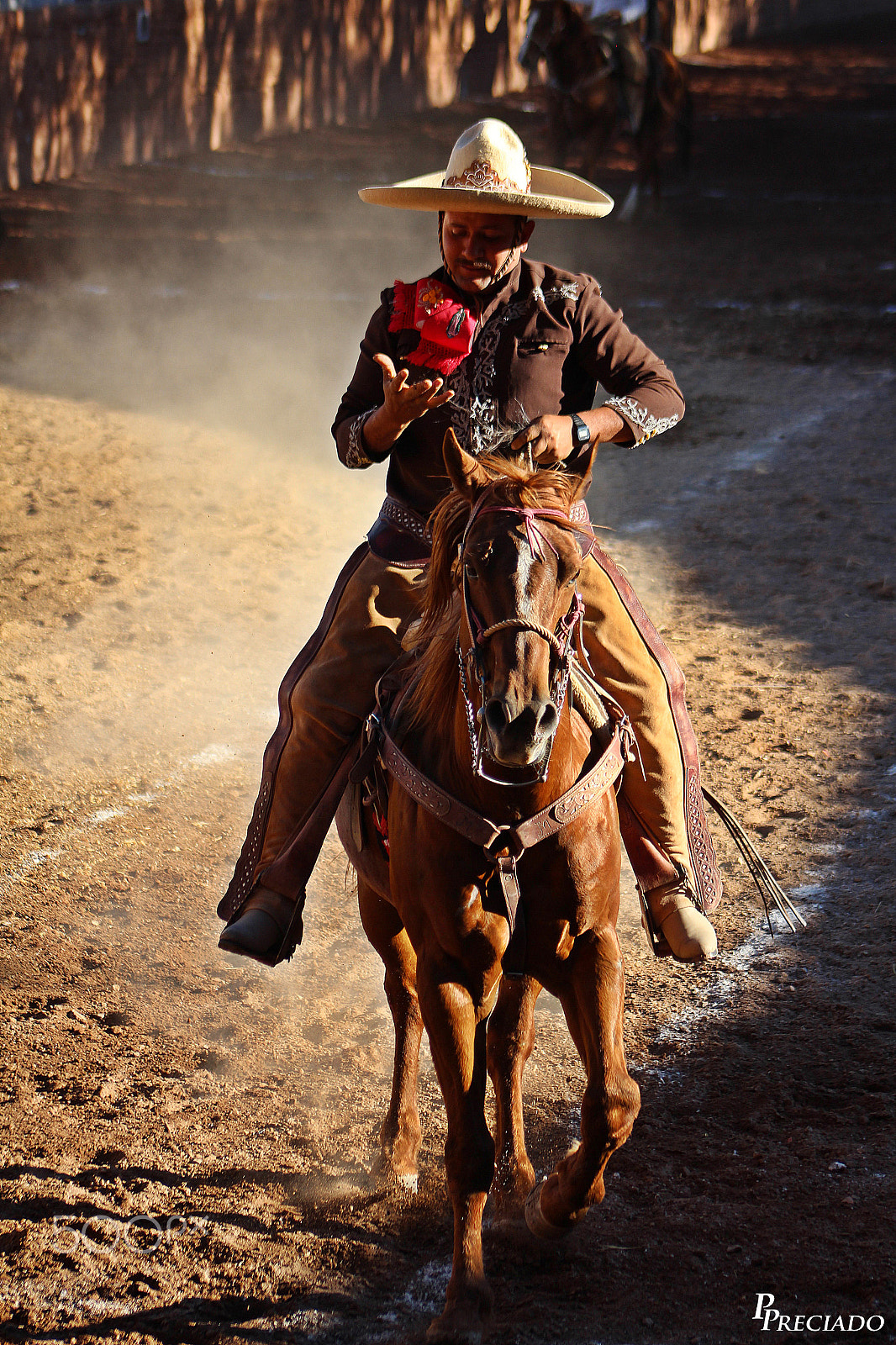 Canon EF 75-300mm f/4-5.6 USM sample photo. Img photography