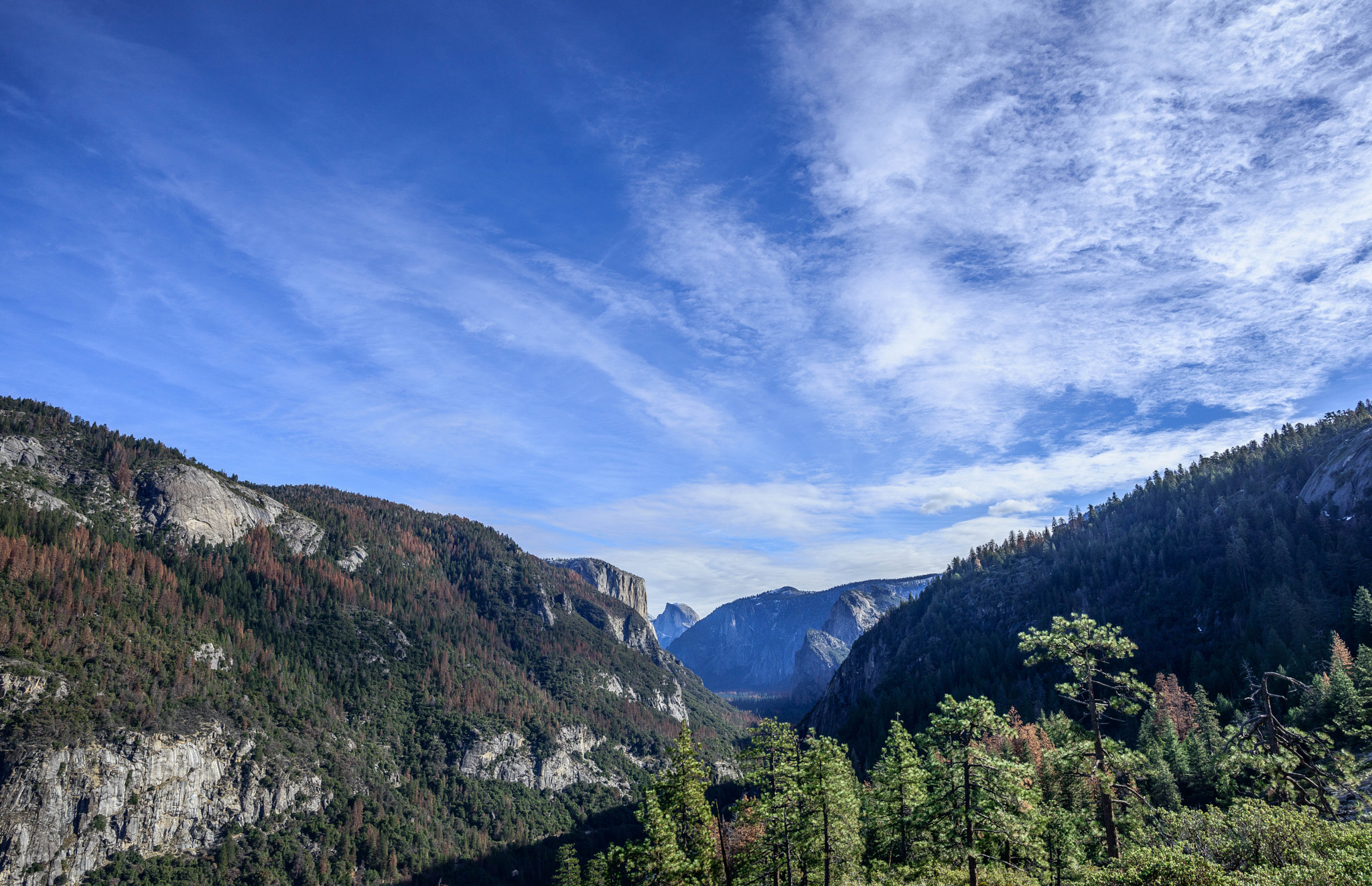 Nikon D800E + Nikon AF-S Nikkor 20mm F1.8G ED sample photo. Yosemite photography