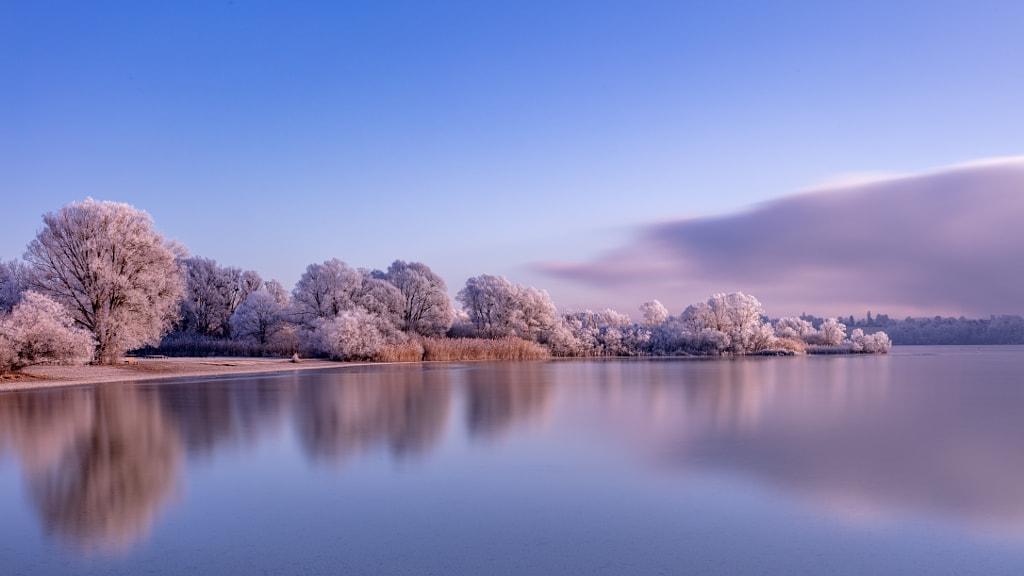 Sugar Trees by Thomas Dr. Uttich on 500px.com