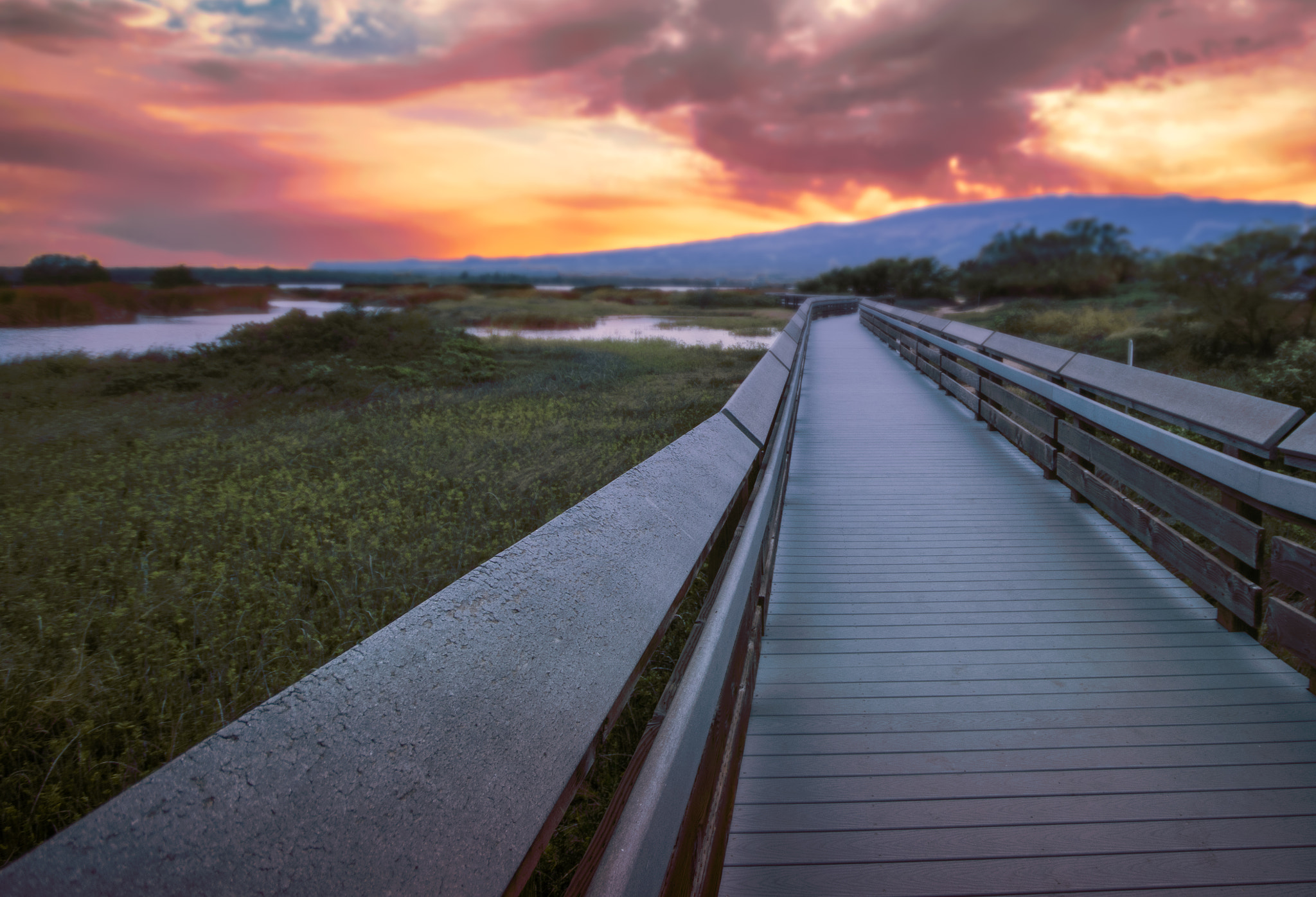 Sigma 10-20mm F4-5.6 EX DC HSM sample photo. Kealia sunrise photography