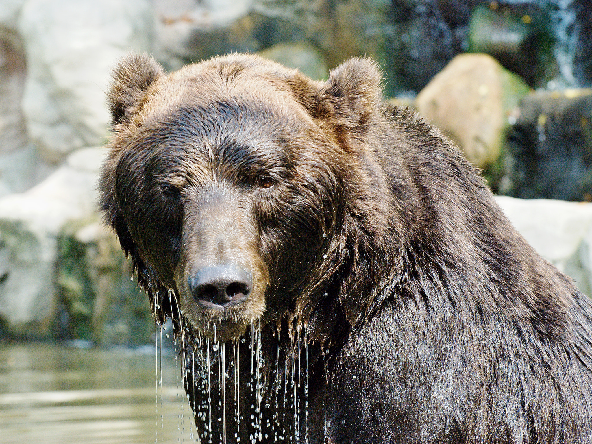 Nikon D80 sample photo. After a cooling dip photography