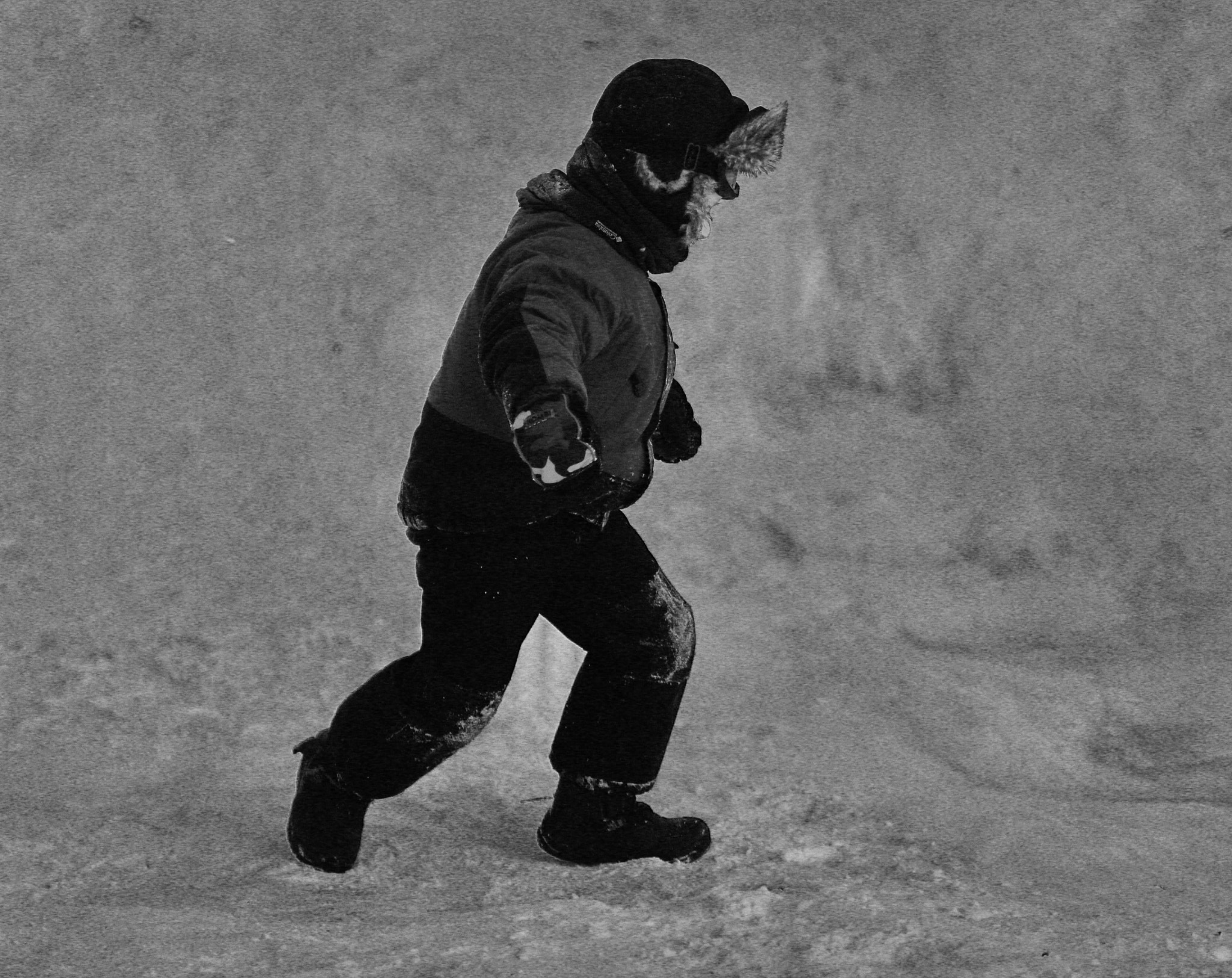 Canon EOS 1200D (EOS Rebel T5 / EOS Kiss X70 / EOS Hi) sample photo. Black and white. play in the snow photography