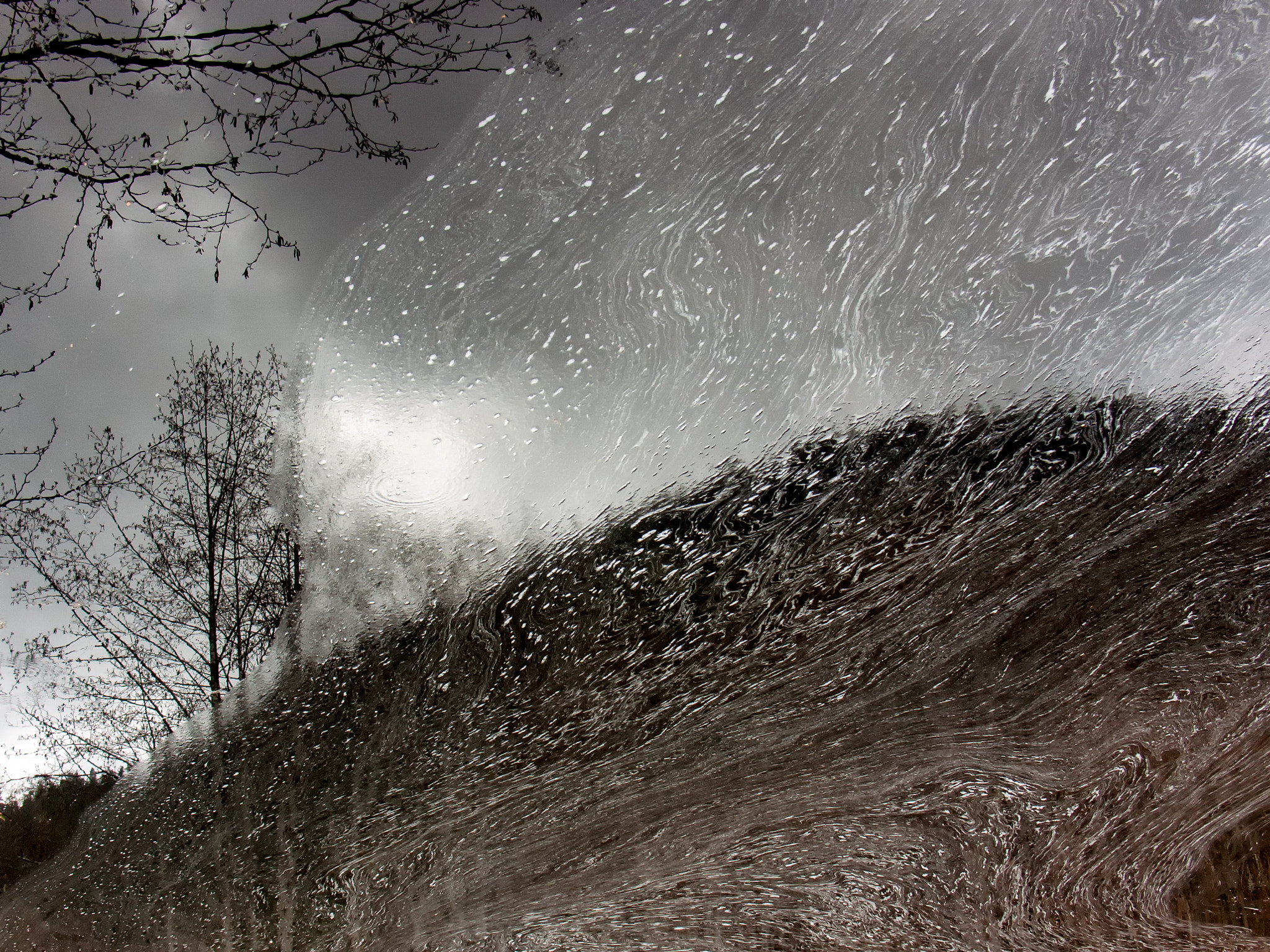 KONICA MINOLTA DiMAGE A2 sample photo. 'hillside' photography