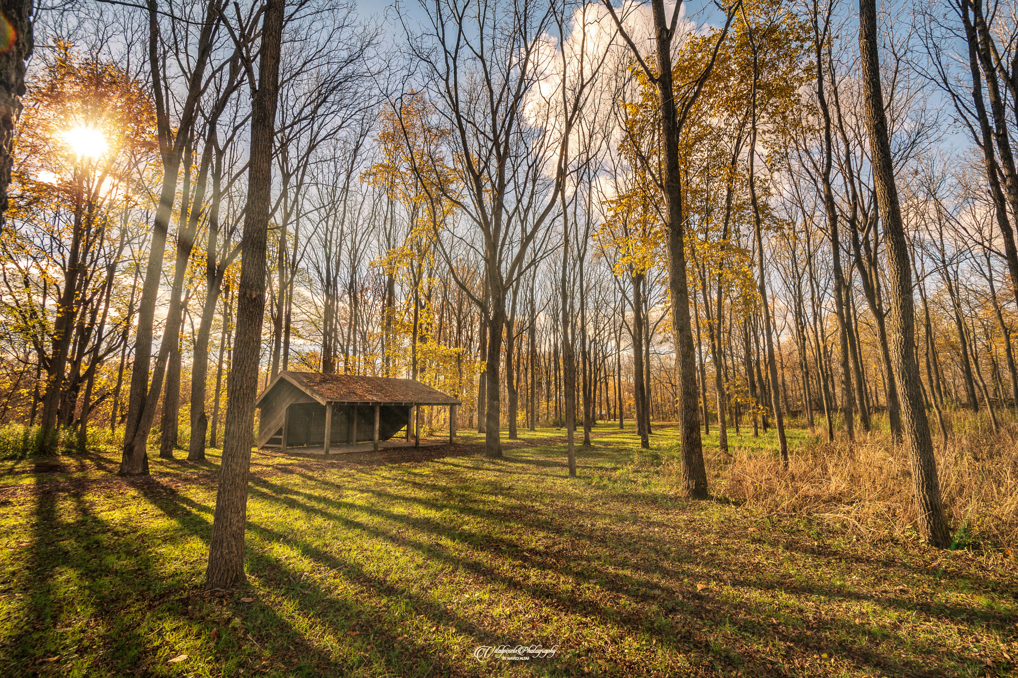 Nikon D500 sample photo. Autumn evening! photography