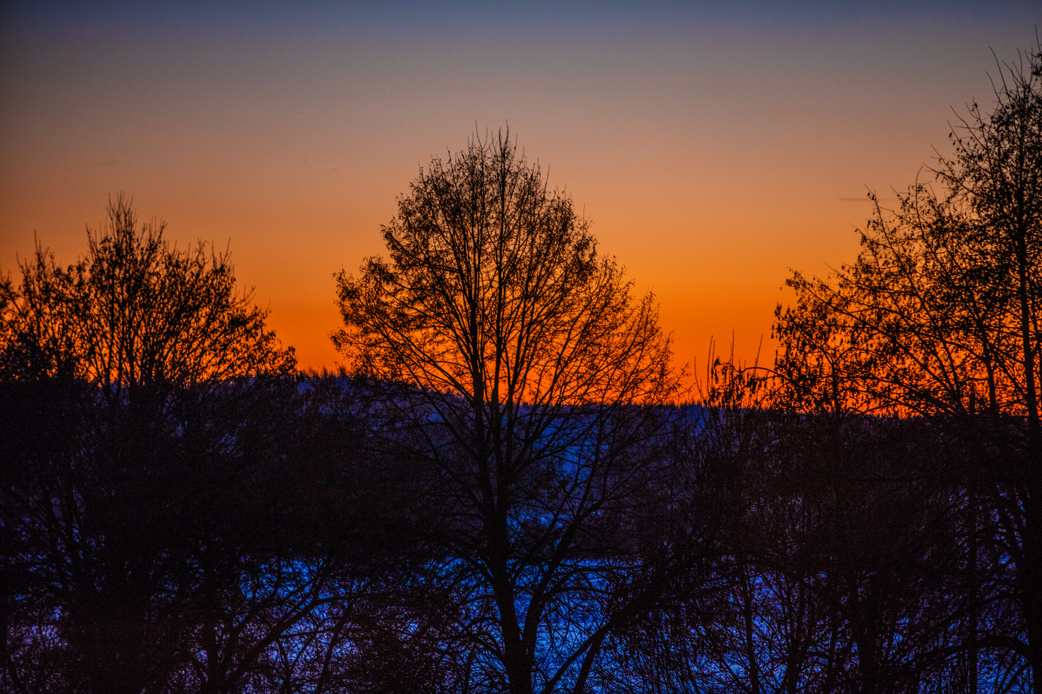 Canon EF 70-200mm F2.8L IS USM sample photo. Bleichen photography