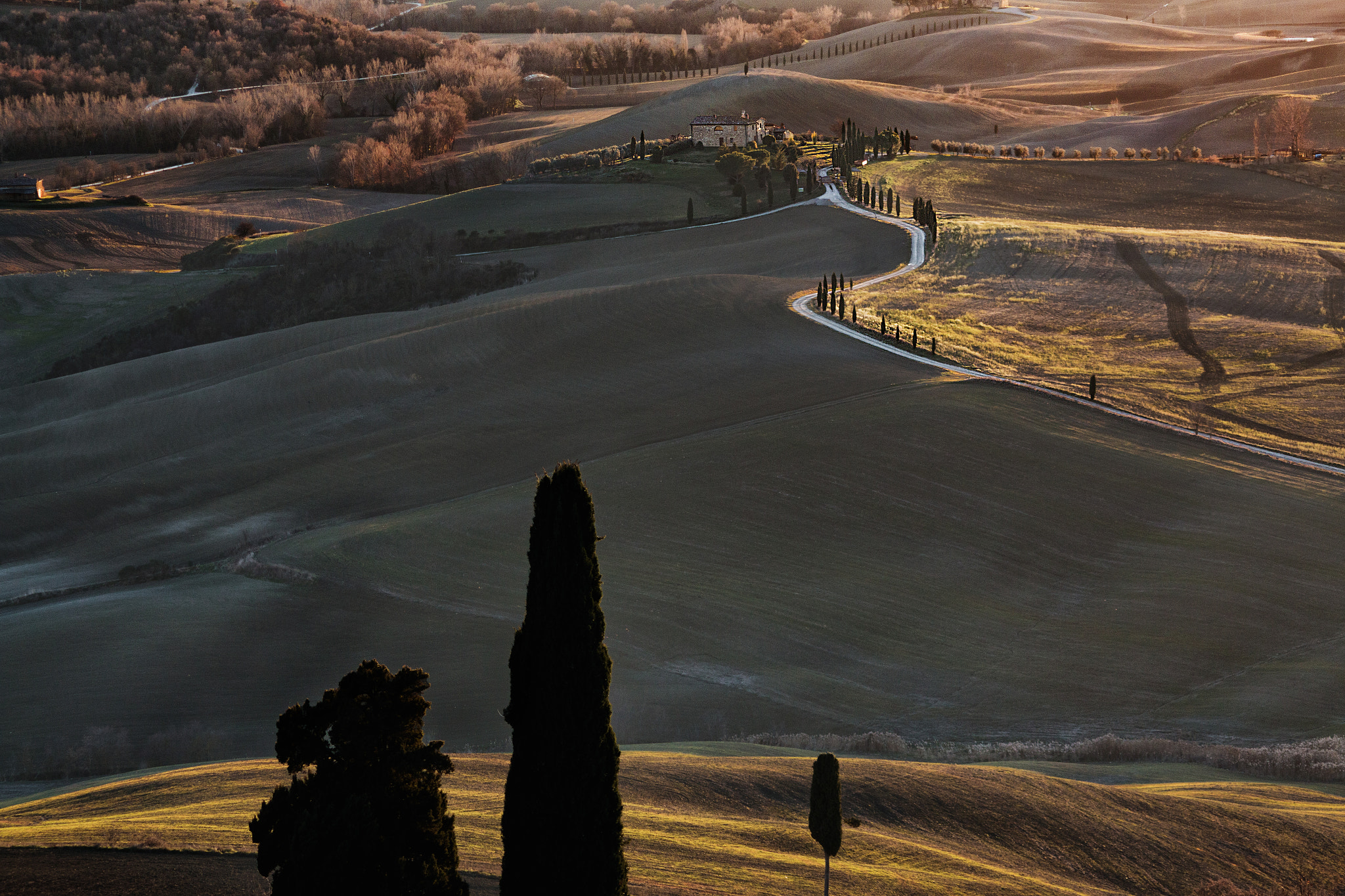 Canon EOS 70D + Sigma 50-200mm F4-5.6 DC OS HSM sample photo. Val d'orcia 2, tuscany photography