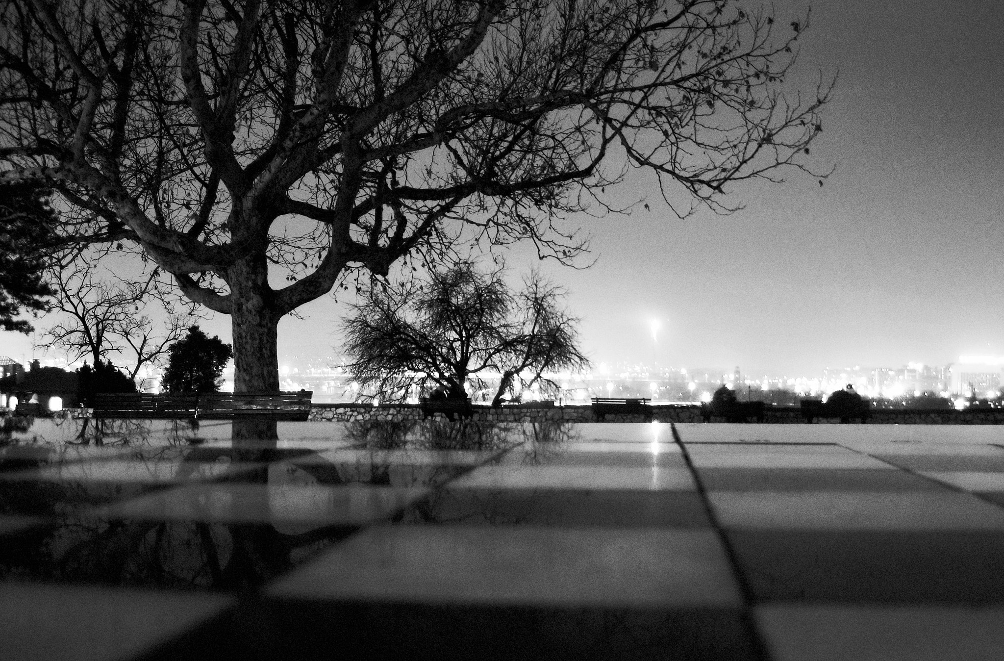 Canon PowerShot SD970 IS (Digital IXUS 990 IS / IXY Digital 830 IS) sample photo. City night photography