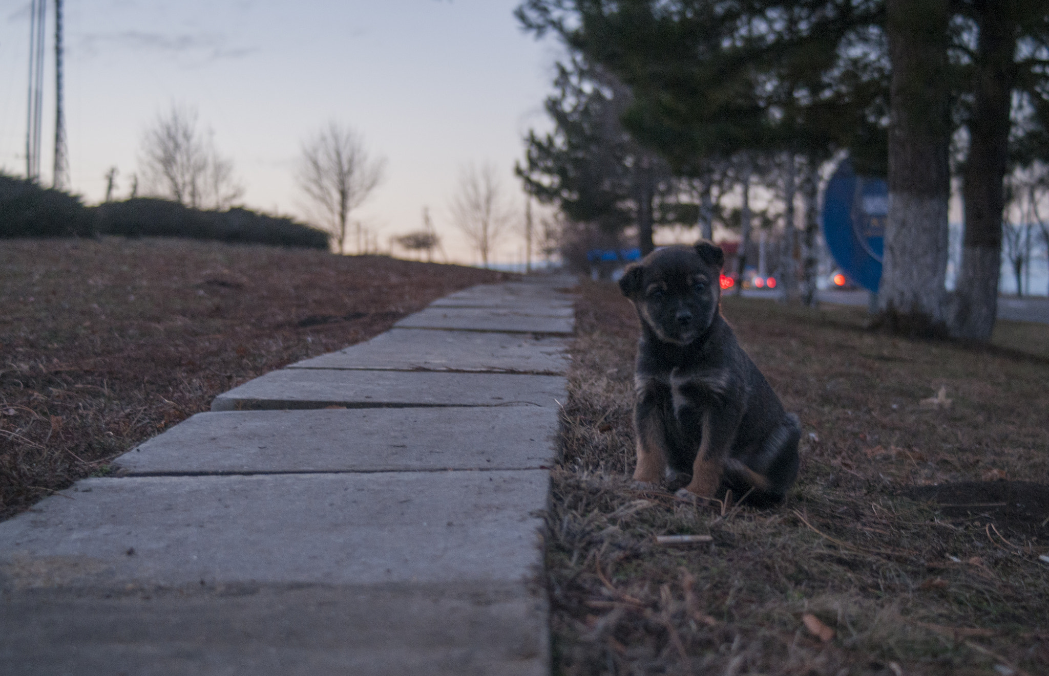 AF Zoom-Nikkor 35-70mm f/3.3-4.5 sample photo. #34 photography