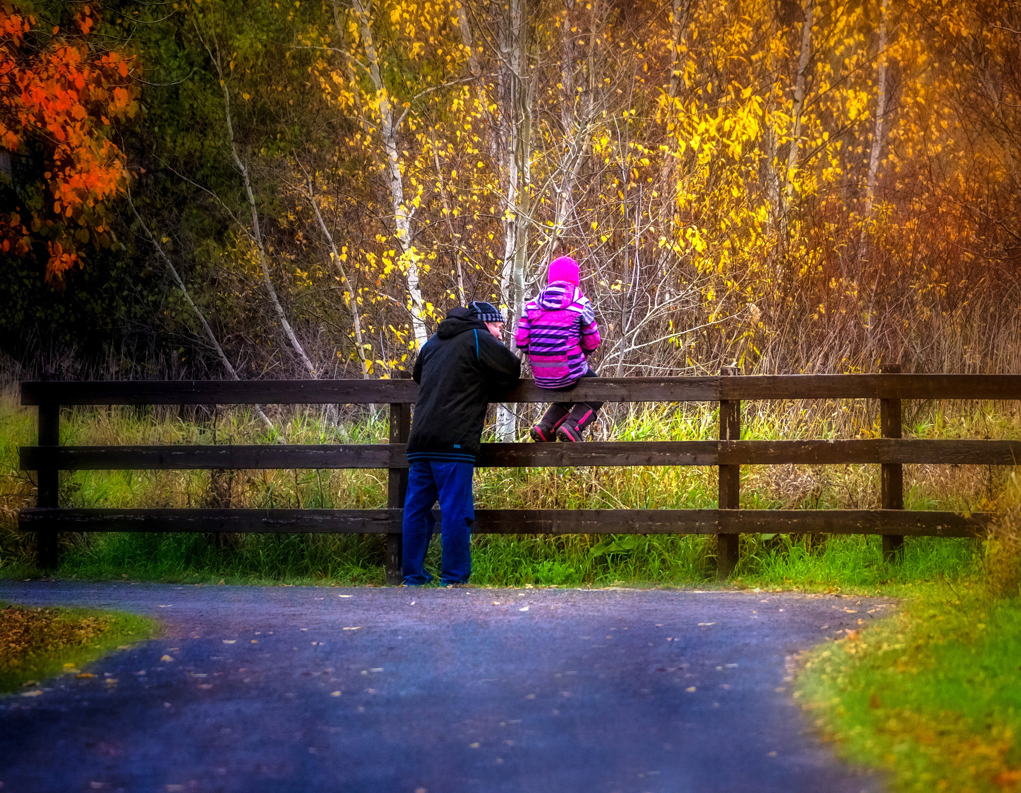 Sony 70-300mm F4.5-5.6 G SSM sample photo. A precious moment... photography
