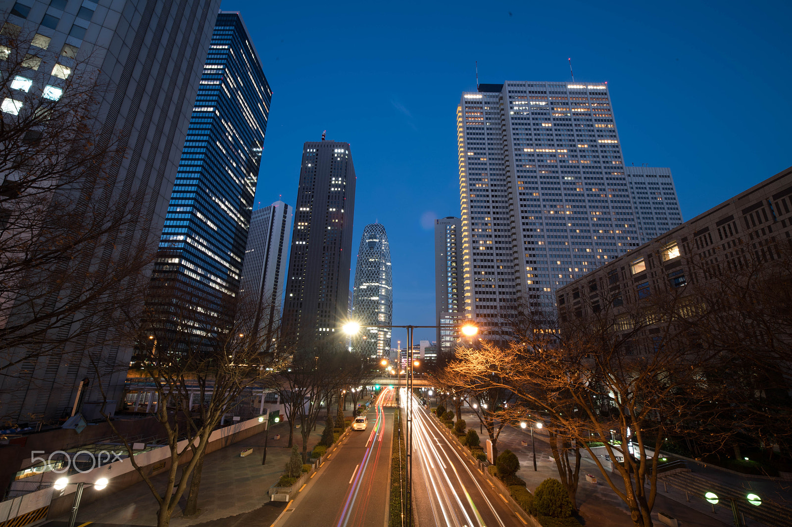 Nikon D5 sample photo. Shinjuku,tokyo japan photography