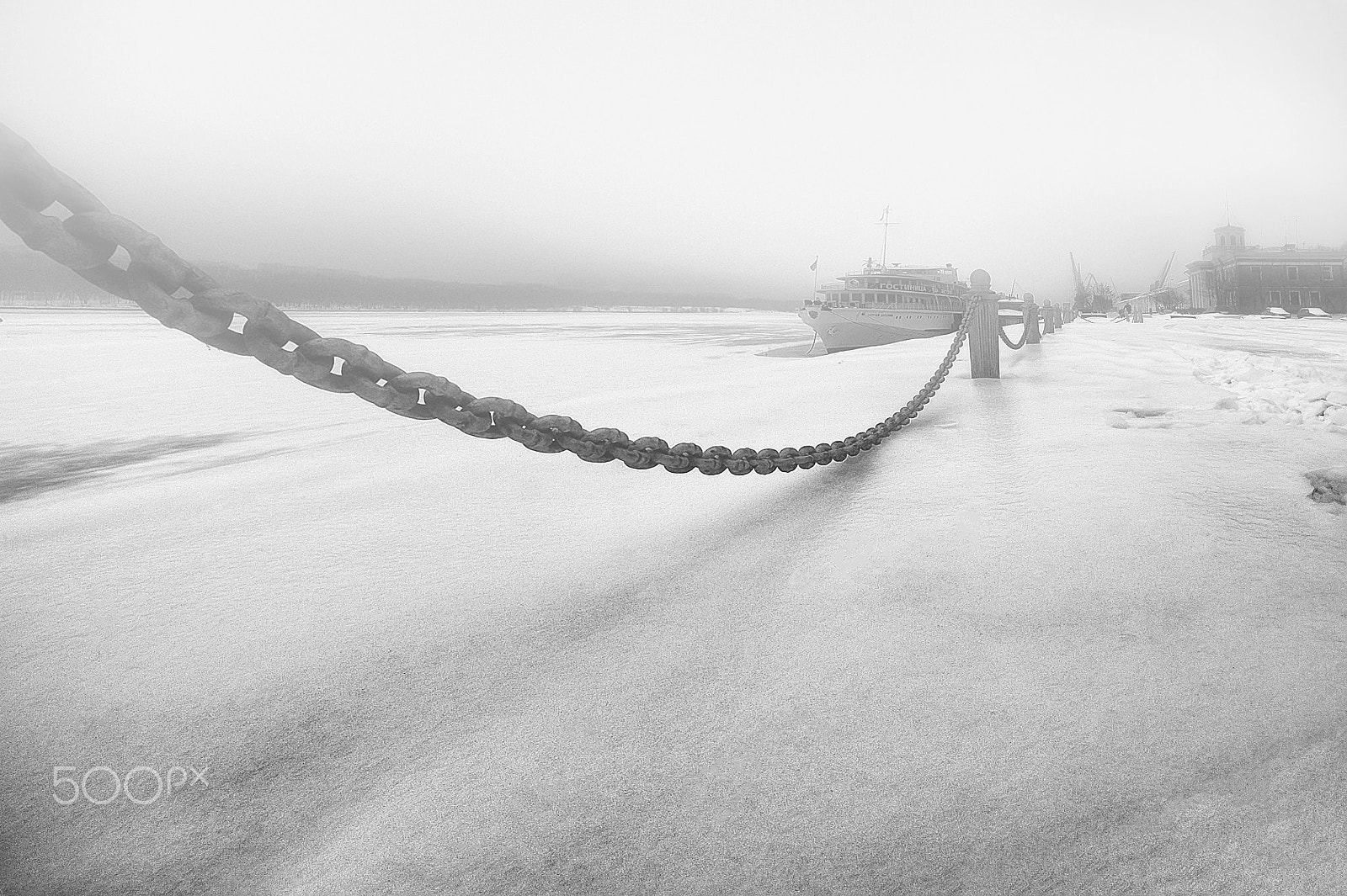 Nikon D3 sample photo. The winter fog photography