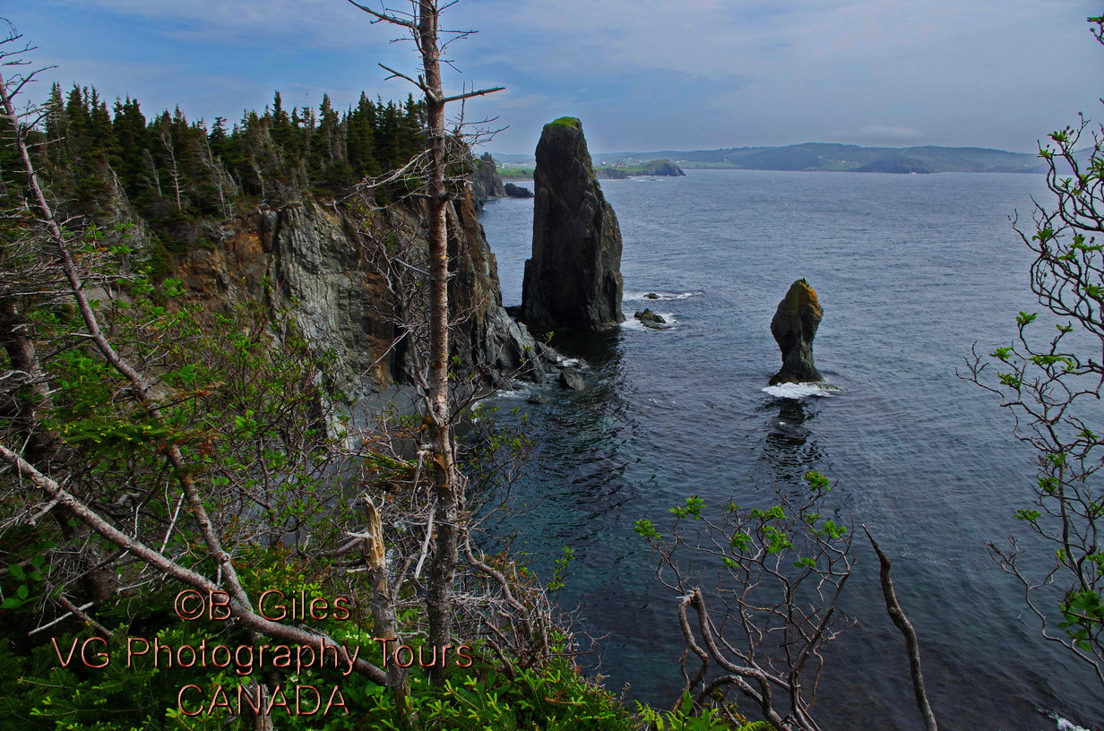 Pentax smc DA 18-55mm F3.5-5.6 AL WR sample photo. Rugged coast newfoundland photography