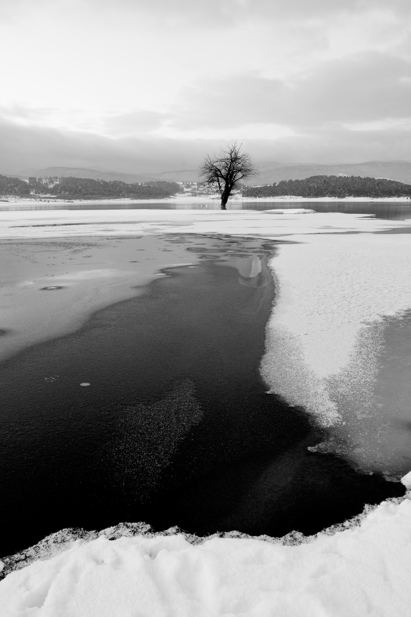 Canon EOS 1000D (EOS Digital Rebel XS / EOS Kiss F) + Canon EF 17-40mm F4L USM sample photo. Alone in cold winter photography