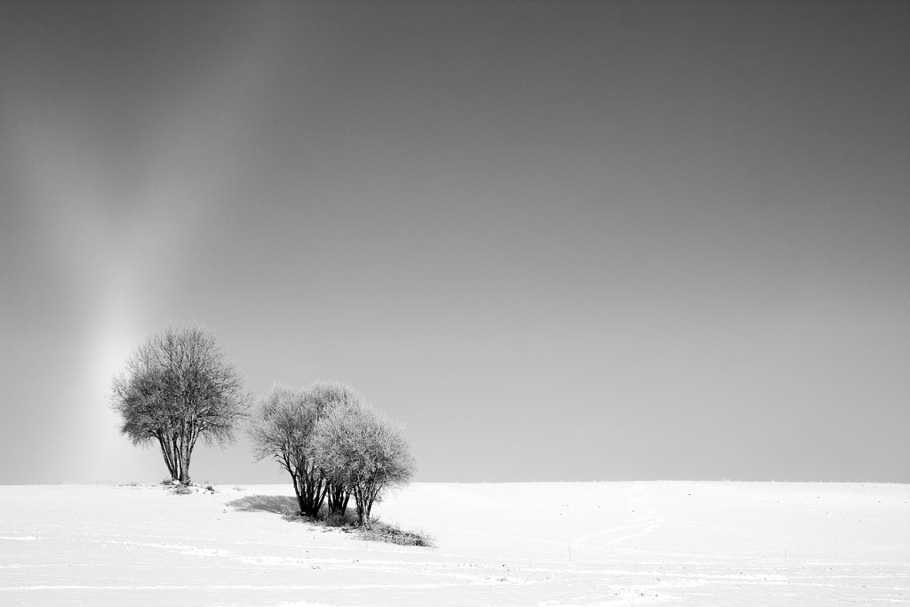 fraîcheur matinale
