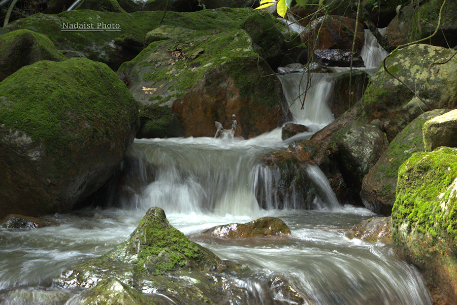 Canon EOS 700D (EOS Rebel T5i / EOS Kiss X7i) sample photo. Ruisseau photography