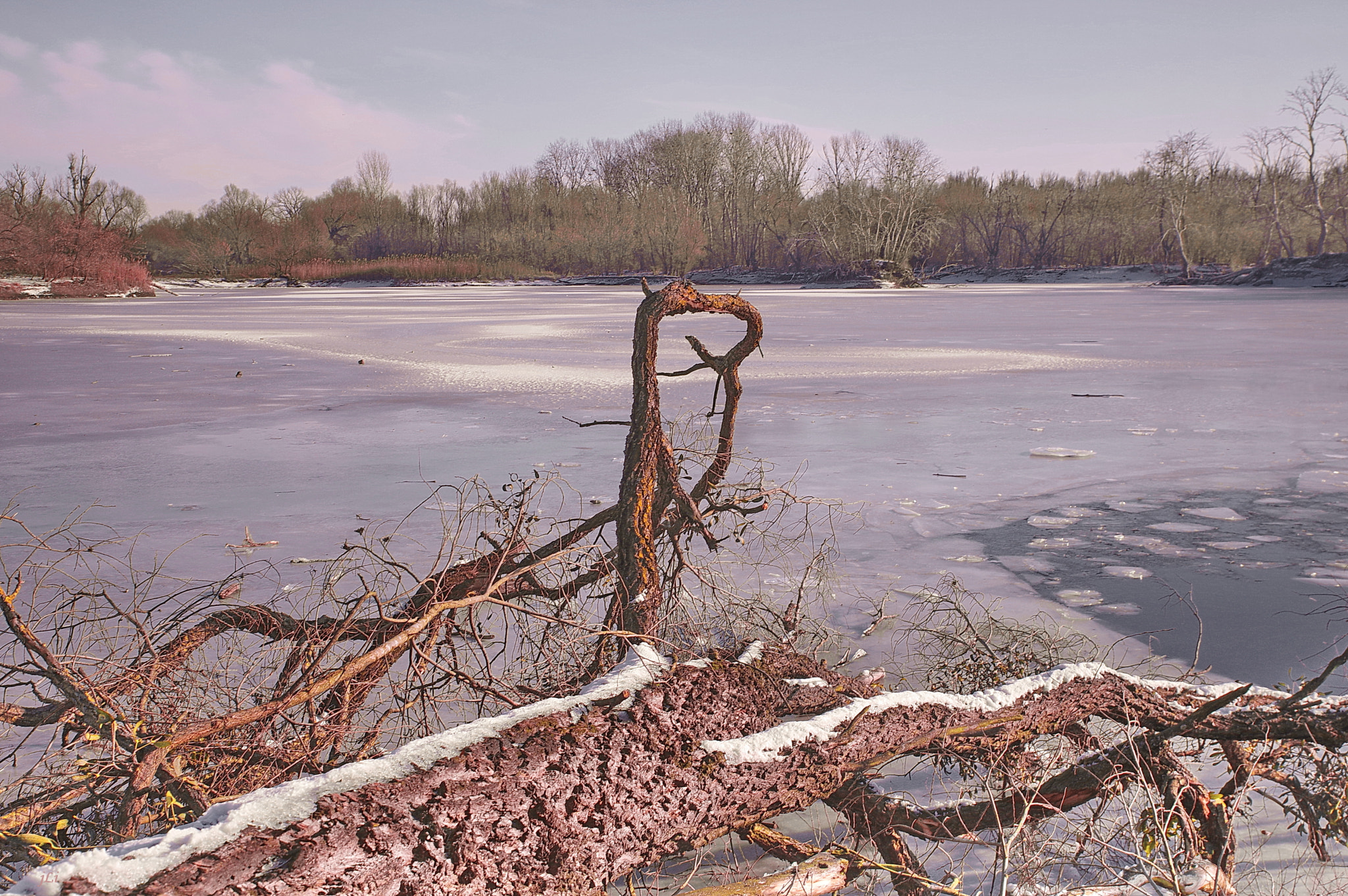 Pentax K-3 sample photo. The four seasons : winter iii ;) photography