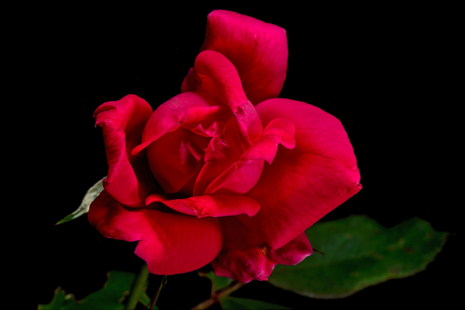100mm F2.8 SSM sample photo. Summer memory photography