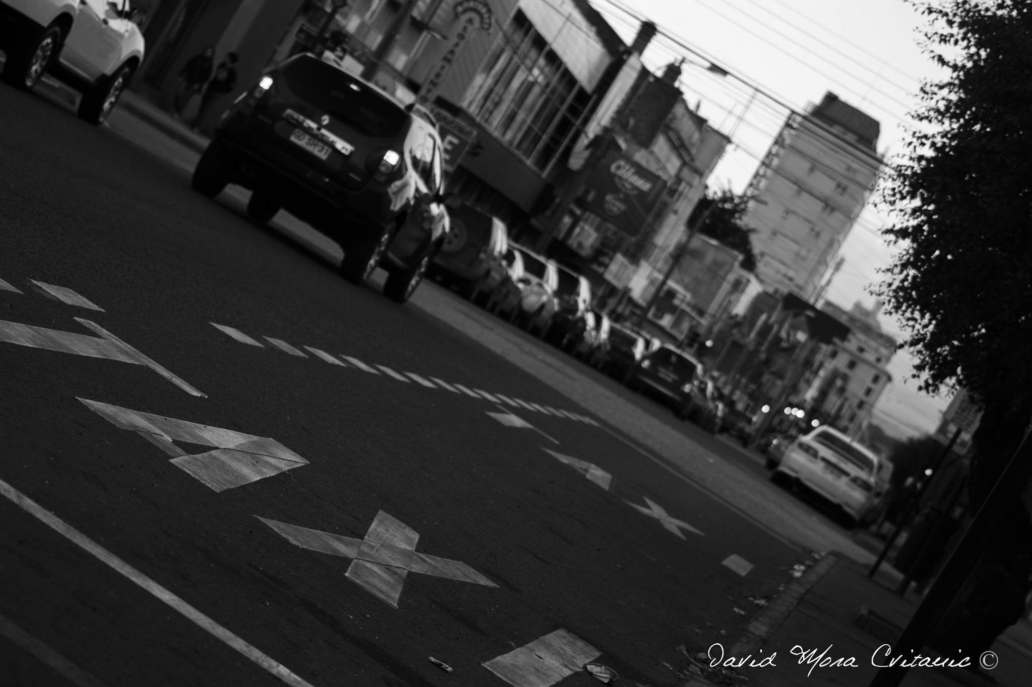 Canon EOS 1100D (EOS Rebel T3 / EOS Kiss X50) sample photo. Punta arenas photography