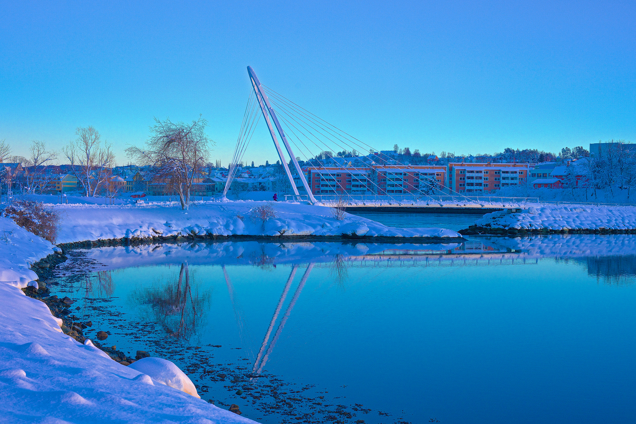 Canon EOS 5DS R sample photo. Purple snow photography