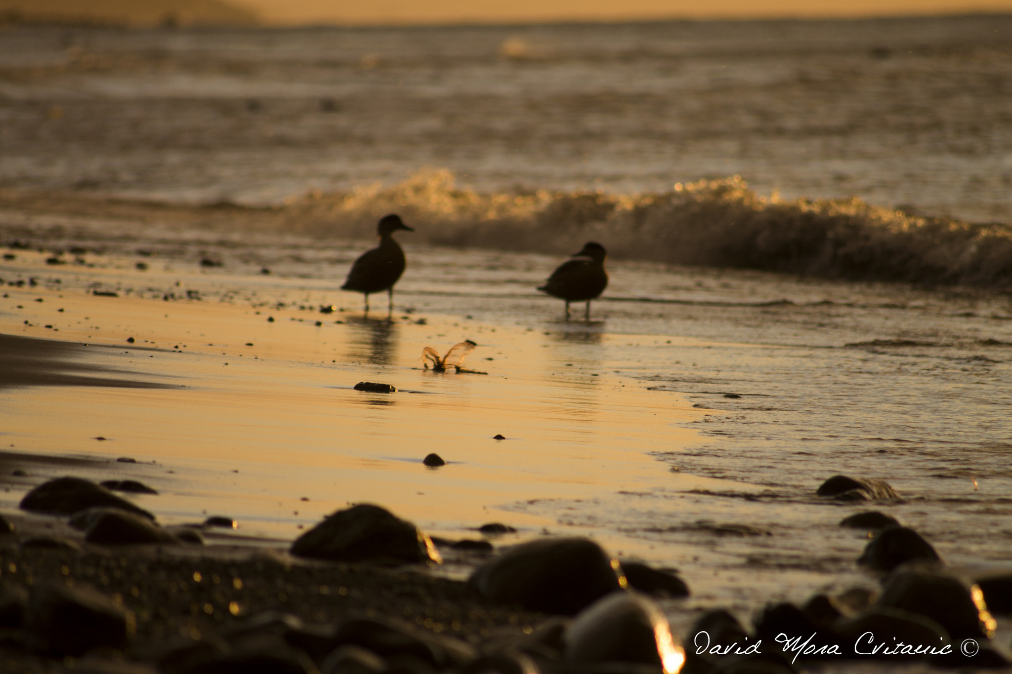 Canon EOS 1100D (EOS Rebel T3 / EOS Kiss X50) sample photo. Punta arenas photography
