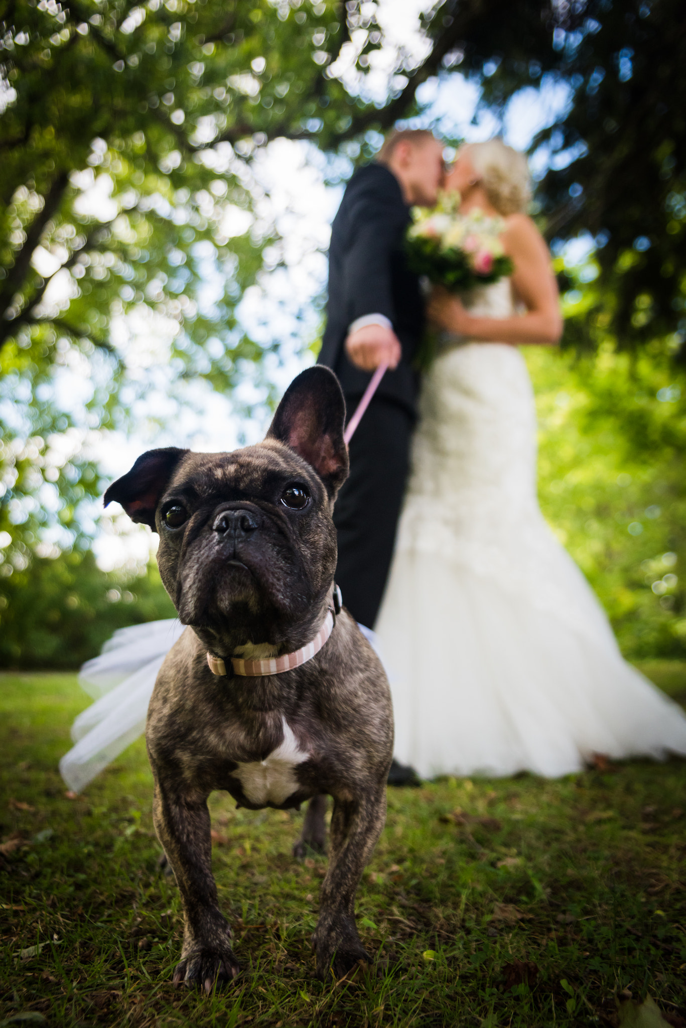 Sigma 24-70mm F2.8 EX DG HSM sample photo. Weddingdog photography