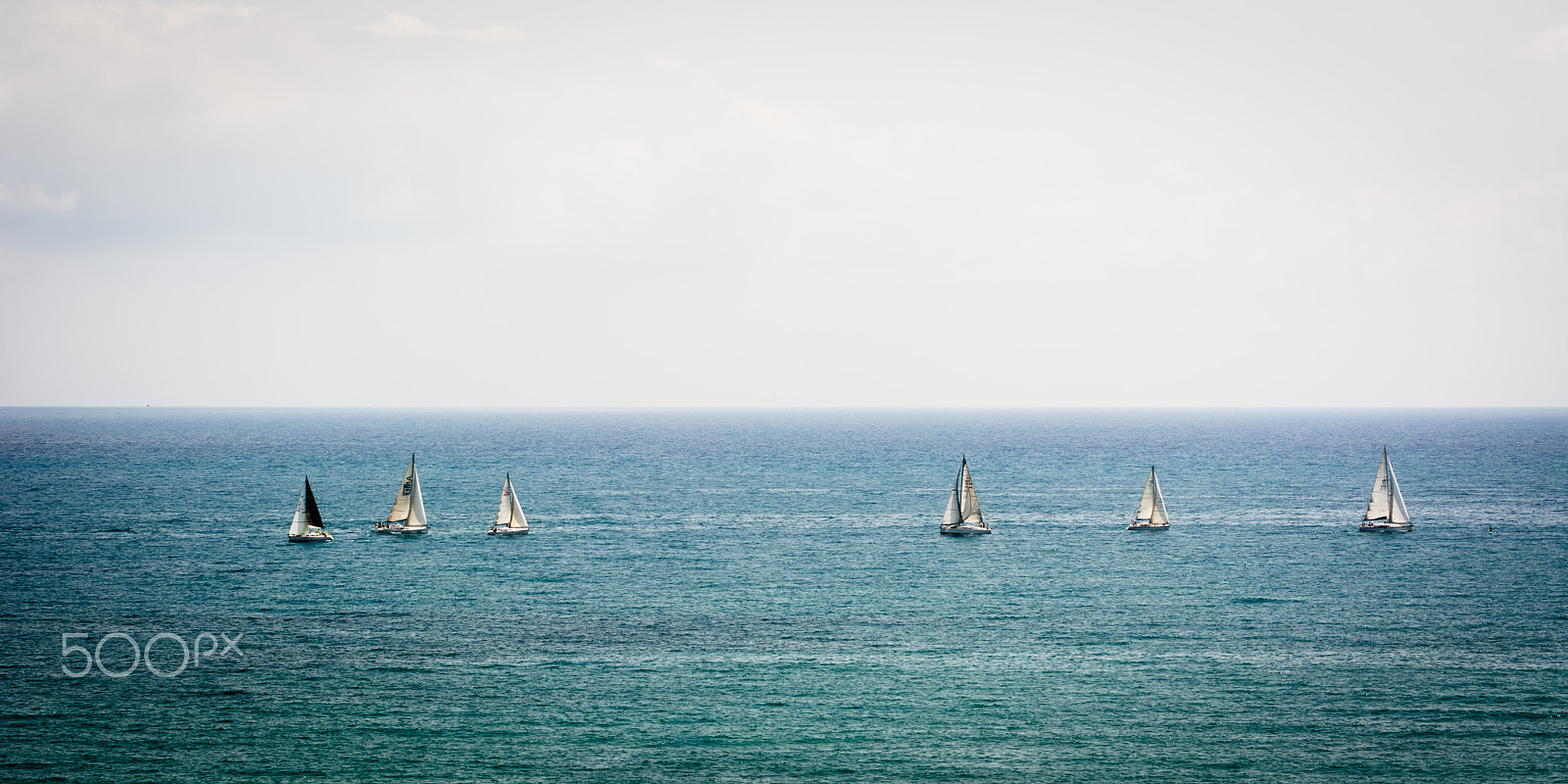Nikon AF-S Nikkor 70-200mm F4G ED VR sample photo. Sailing in good company photography