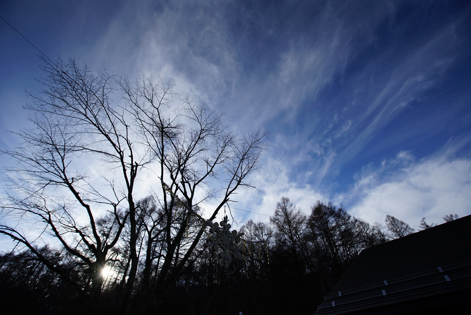 Sony a7 II + Canon EF 16-35mm F2.8L II USM sample photo. Karuizawa photography