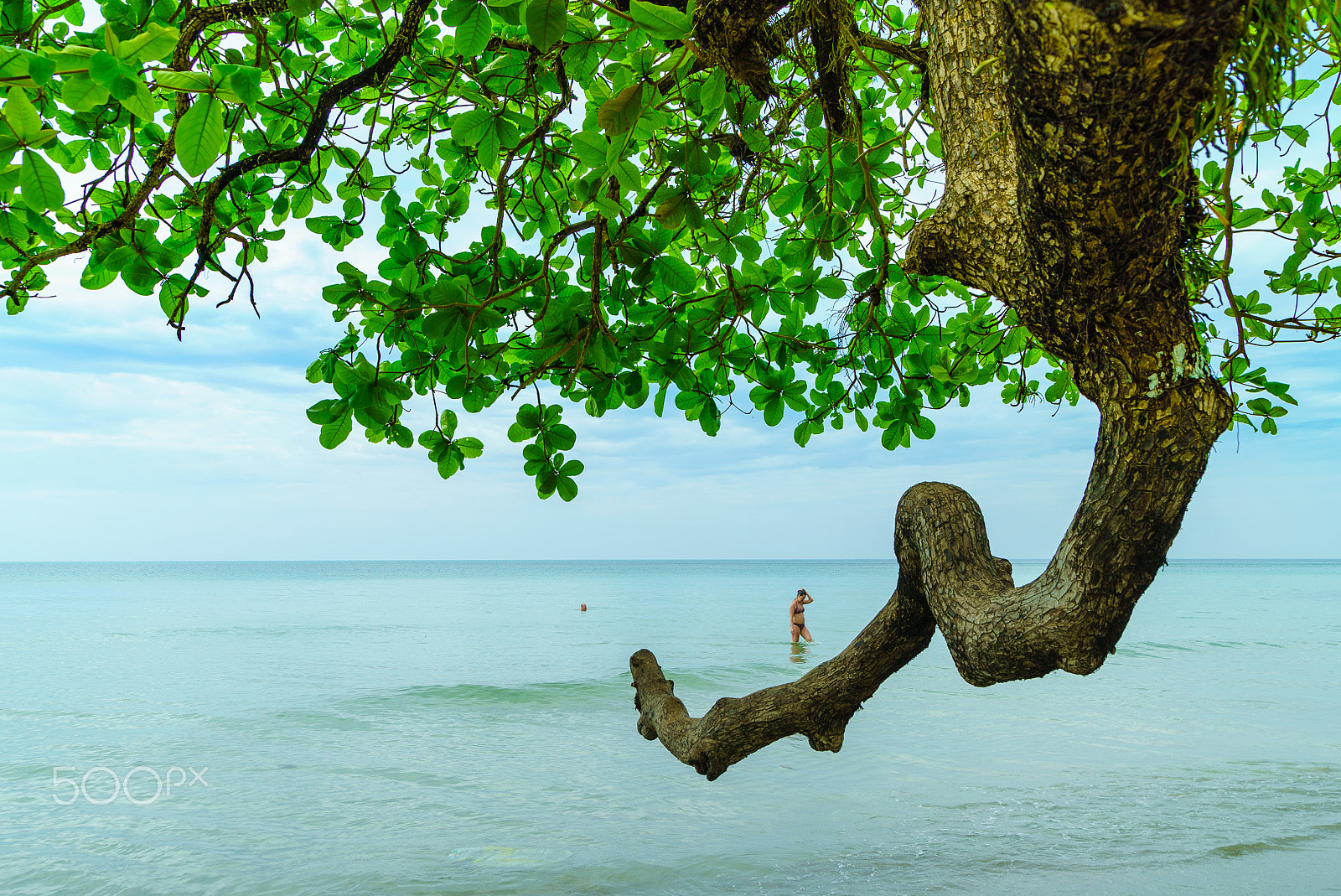 Sony a7S sample photo. The beautiful beach of koh chang with landmark tree toward sea i photography