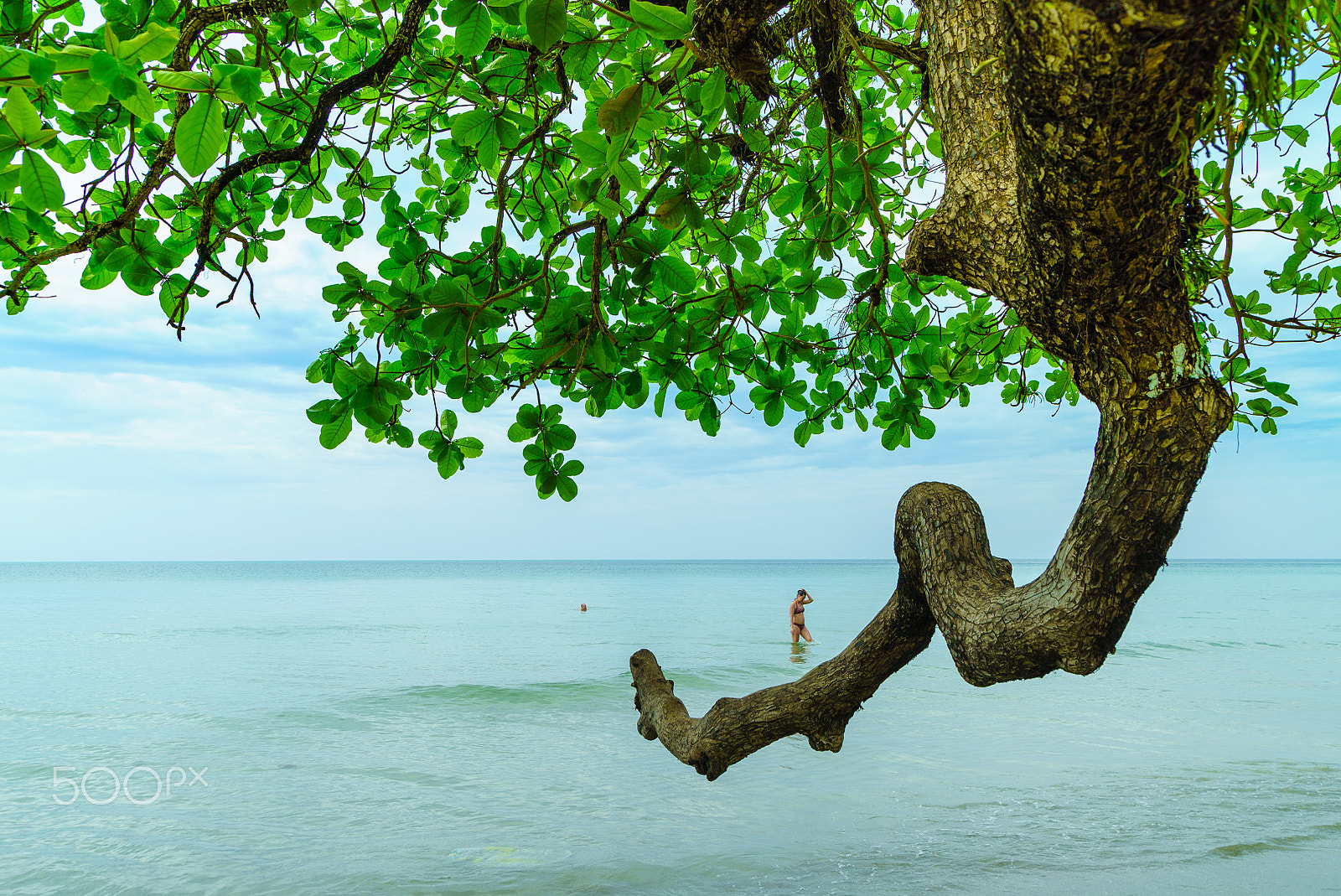 Sony a7S + Sony 28-75mm F2.8 SAM sample photo. The beautiful beach of koh chang with landmark tree toward sea i photography