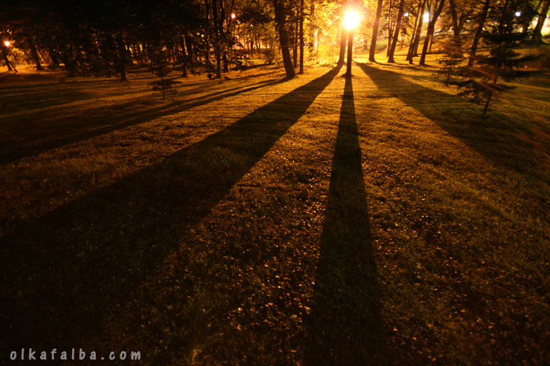 Sigma 10-20mm F4-5.6 EX DC HSM sample photo. Like sunshine photography