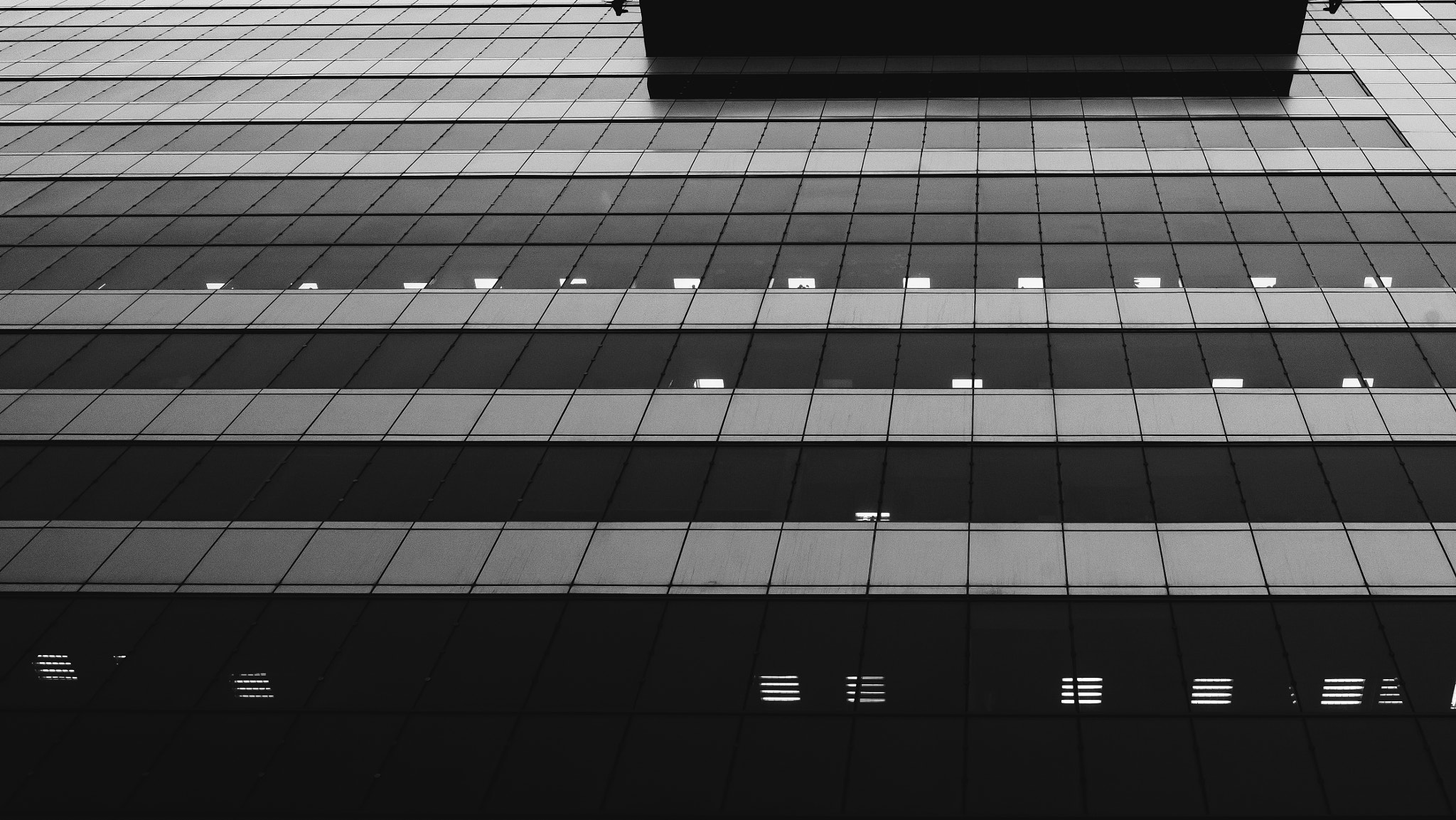 Sony a7 II + ZEISS Batis 25mm F2 sample photo. In this world photography