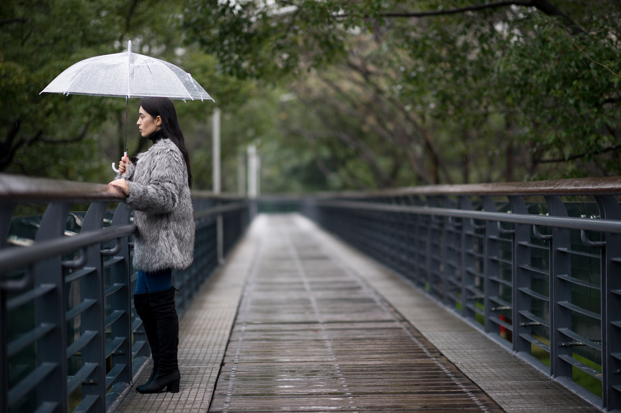 Sony a7 + FE 85mm F1.4 sample photo. Humarim in the rain photography