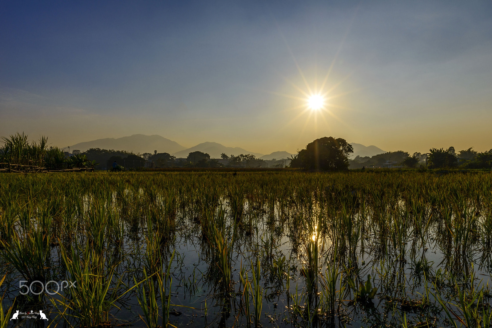 Nikon D800E + Nikon AF-S Nikkor 20mm F1.8G ED sample photo. Countryside photography