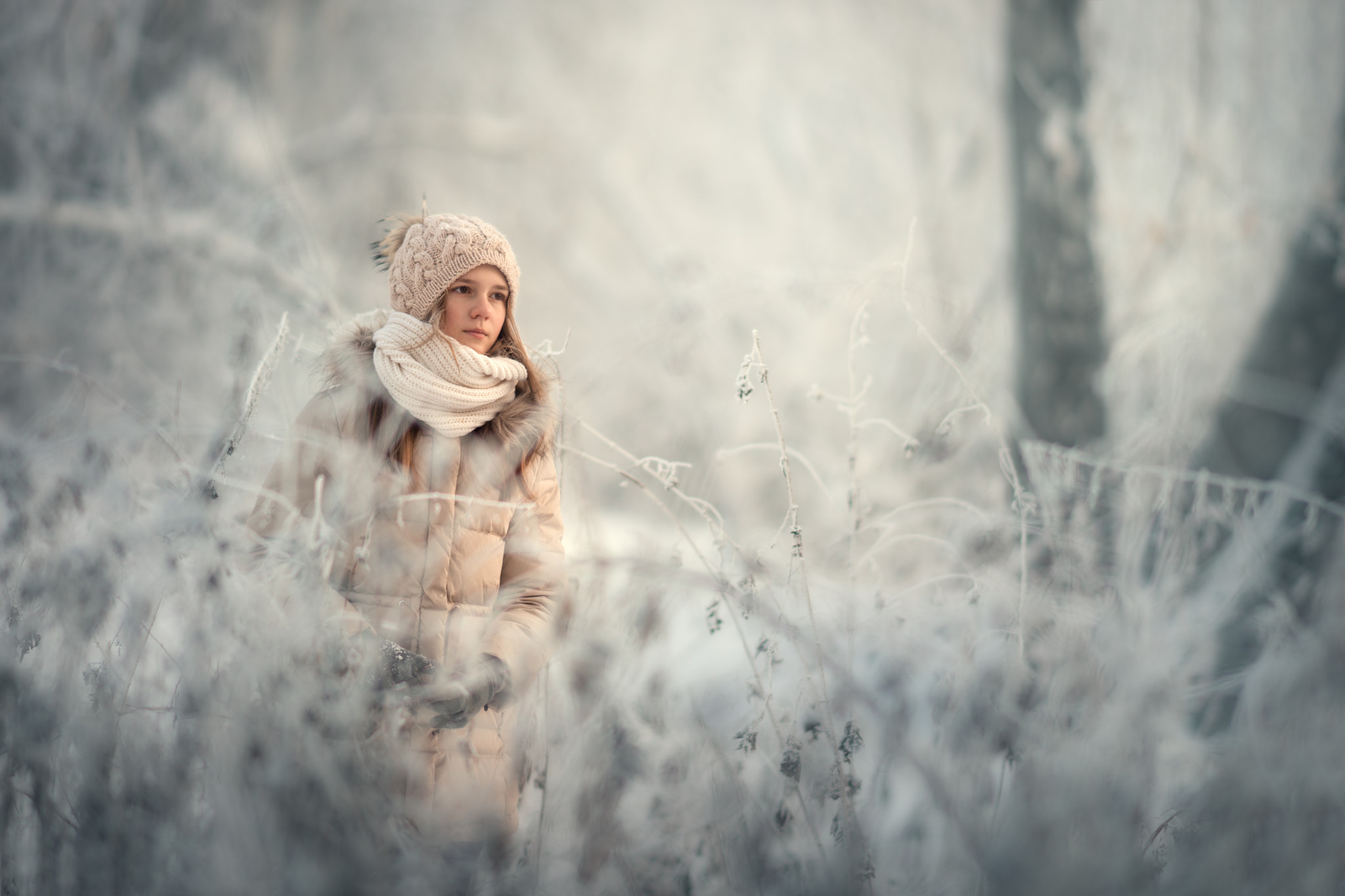 Sony Sonnar T* 135mm F1.8 ZA sample photo. Cold photography