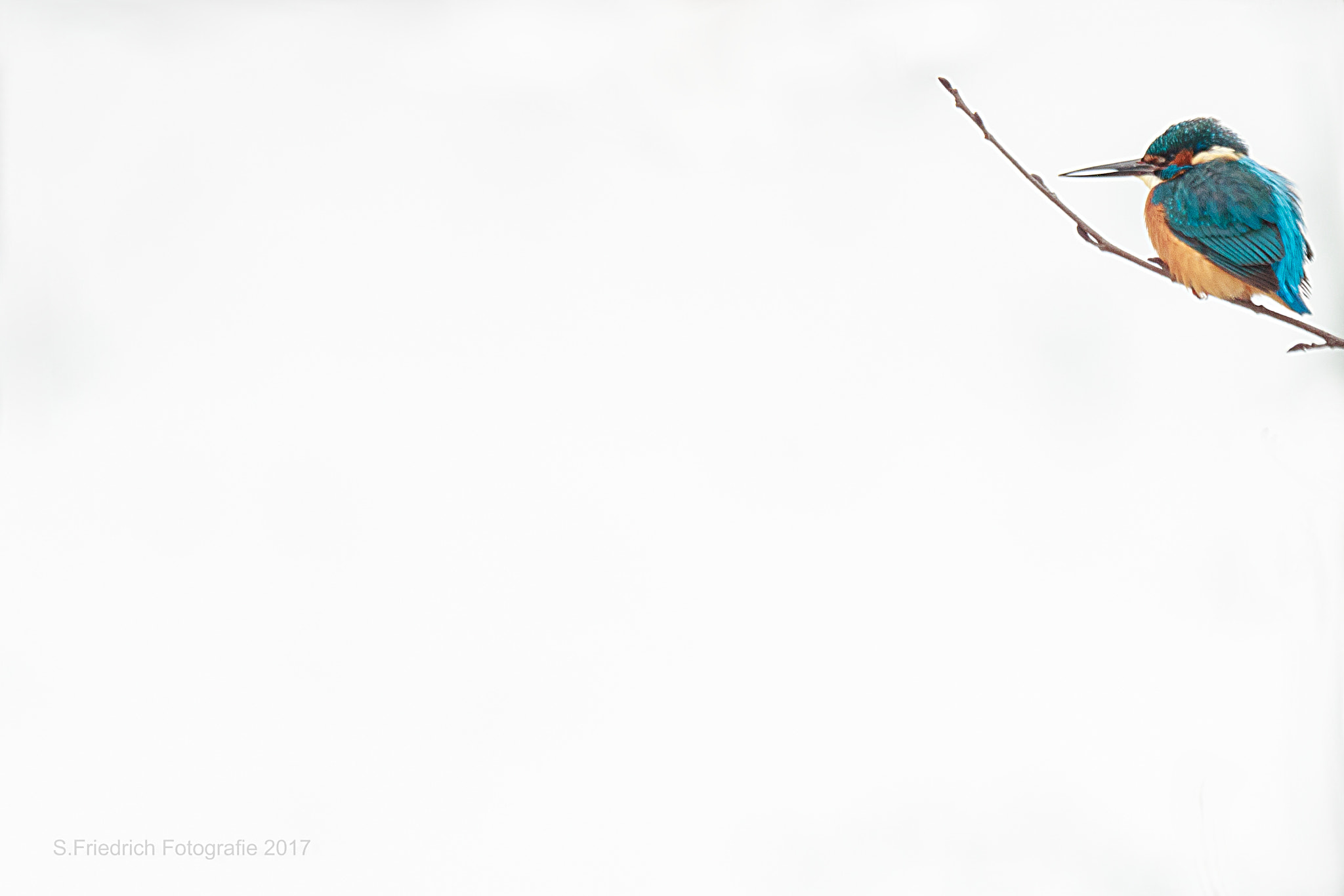 Sigma 50-500mm f/4-6.3 APO HSM EX sample photo. Frozen world photography
