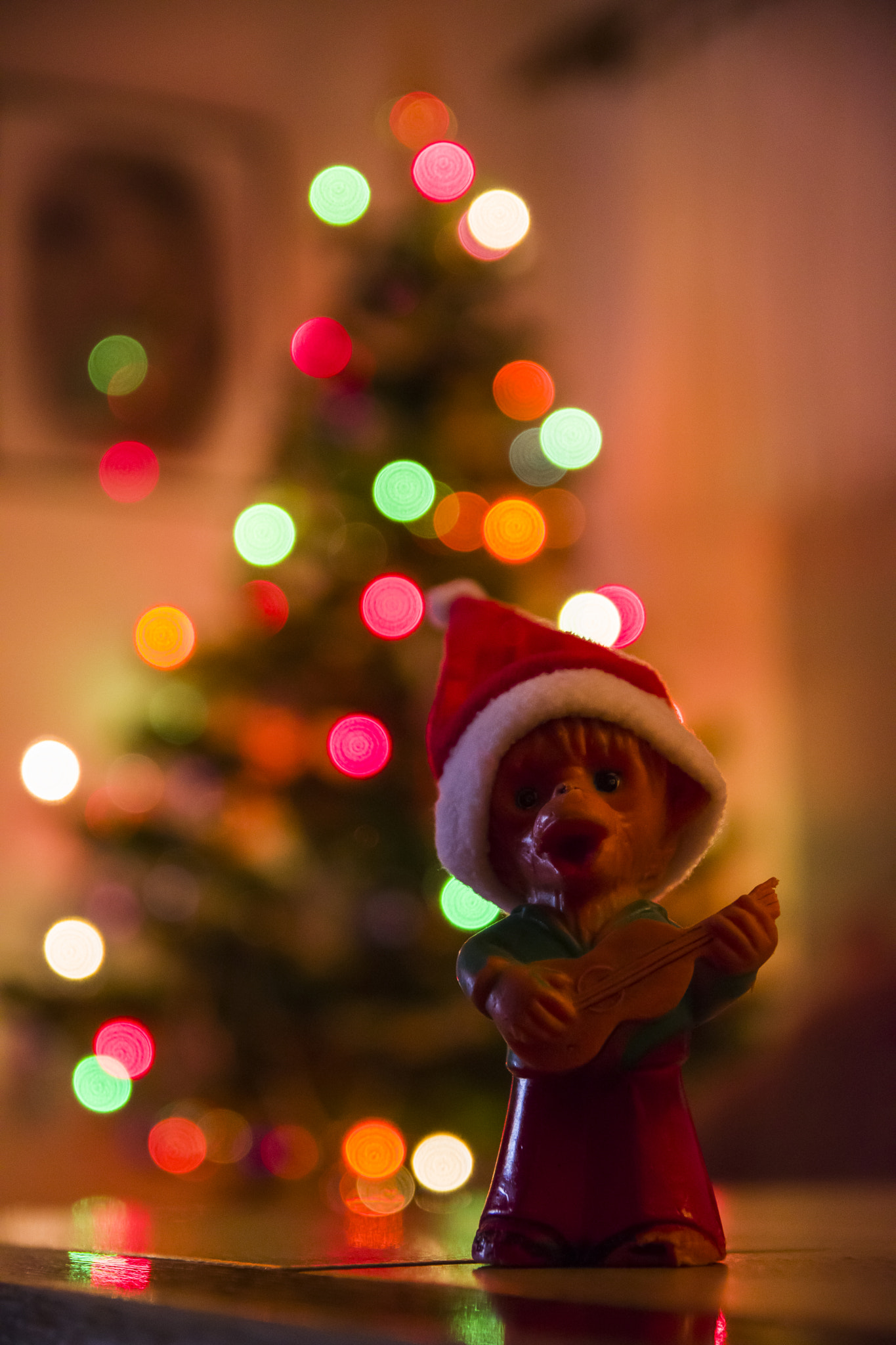 Sigma 17-50mm F2.8 EX DC OS HSM sample photo. Living like a rockstar photography