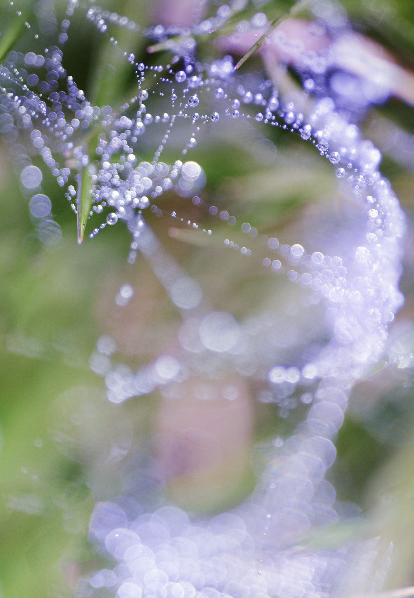 Sigma 150mm F2.8 EX DG Macro HSM sample photo. Dsc photography