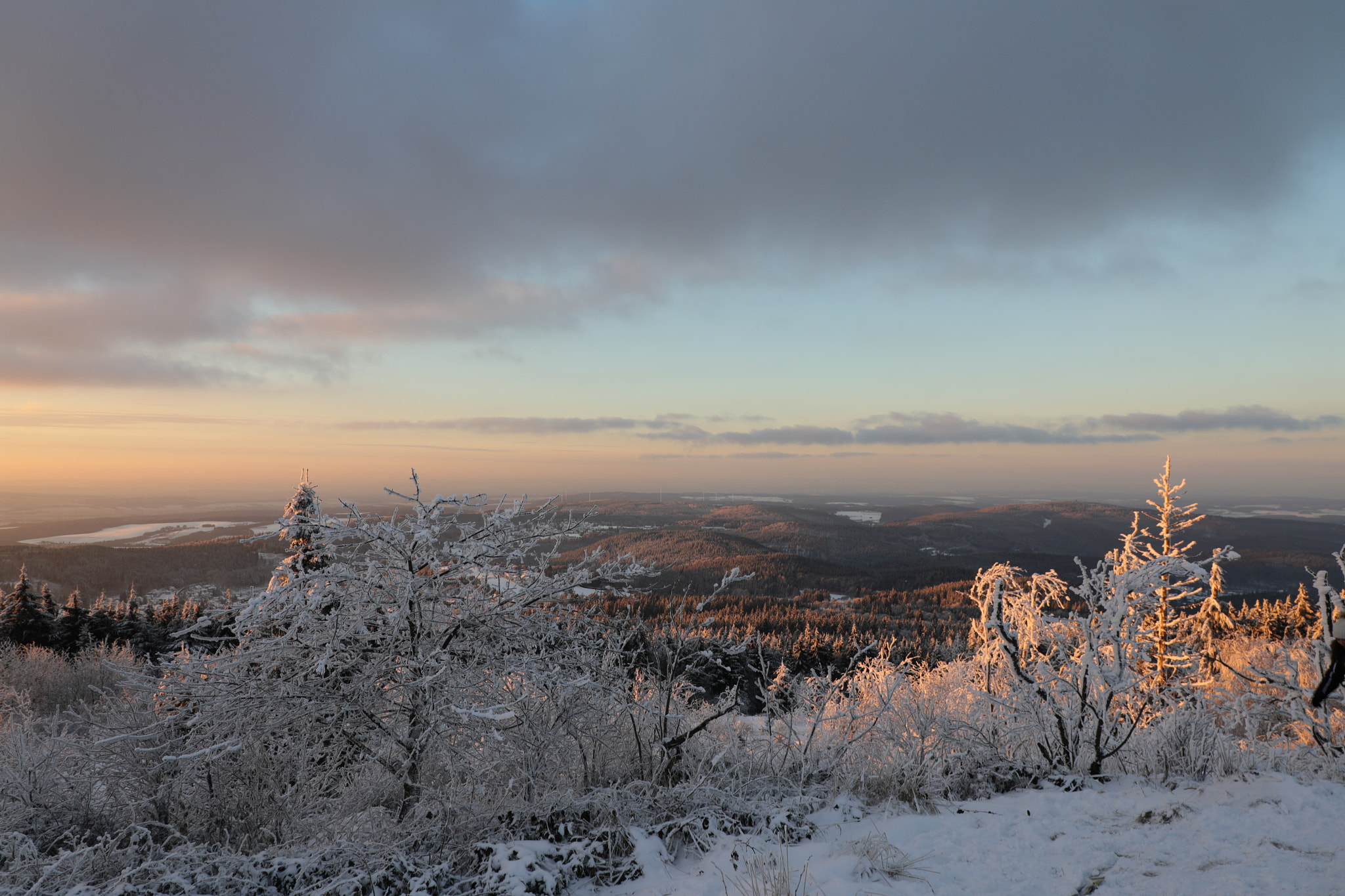 Canon EOS 5D Mark IV sample photo. Taunus im winter photography